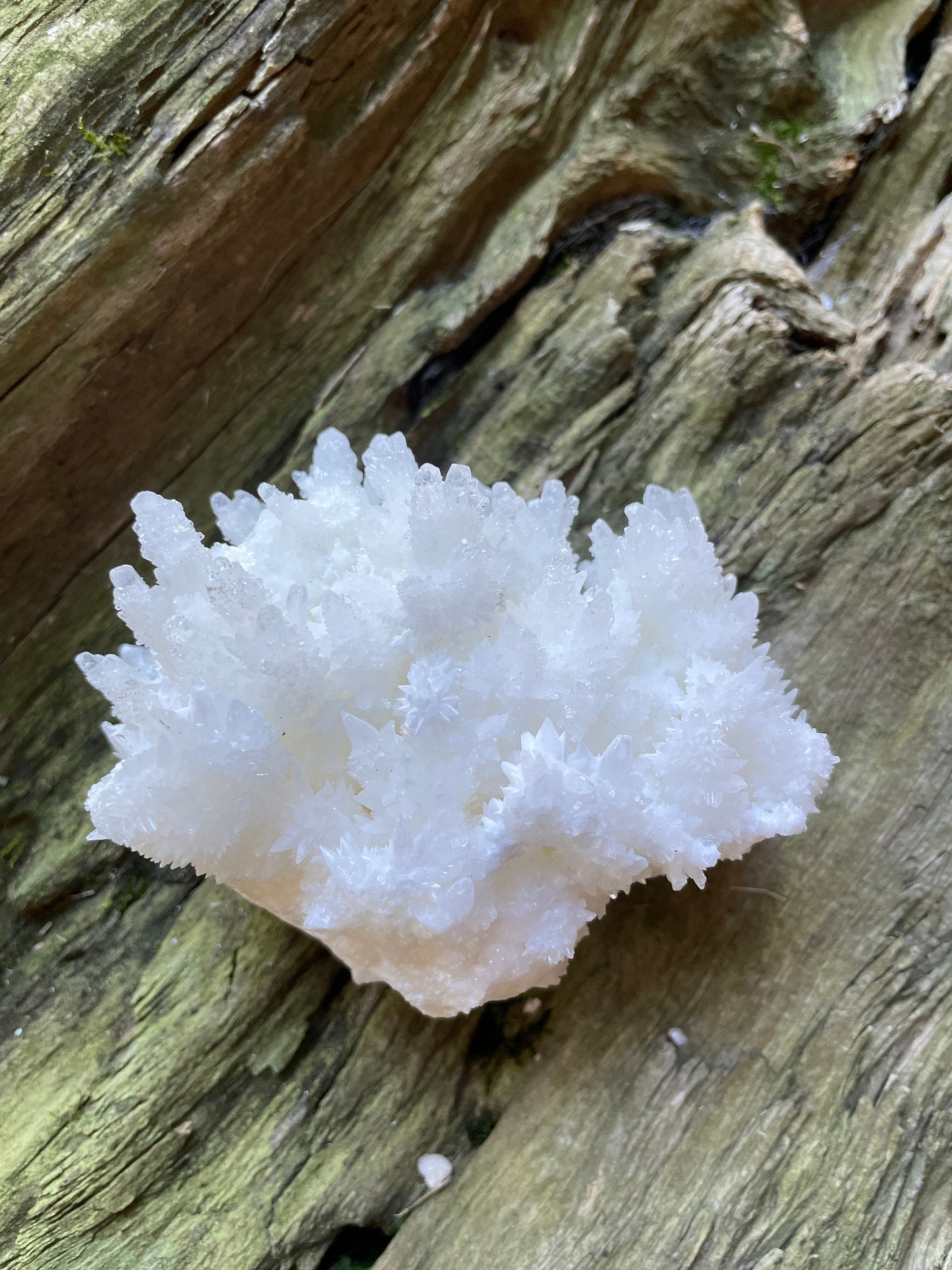 Aragonite Cave Calcite From Mexico 296.6g Specimen Crystals Minerals