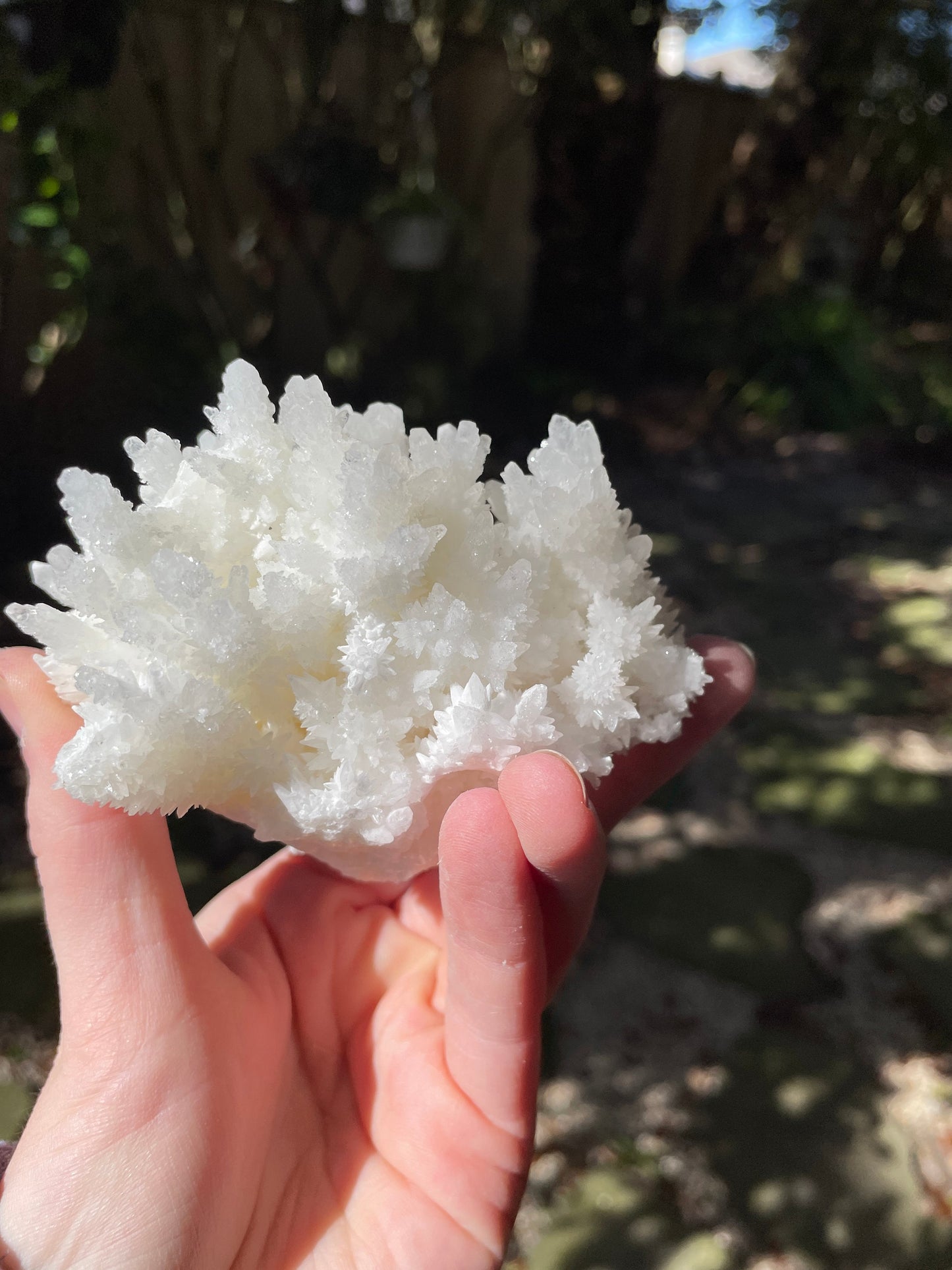 Aragonite Cave Calcite From Mexico 296.6g Specimen Crystals Minerals