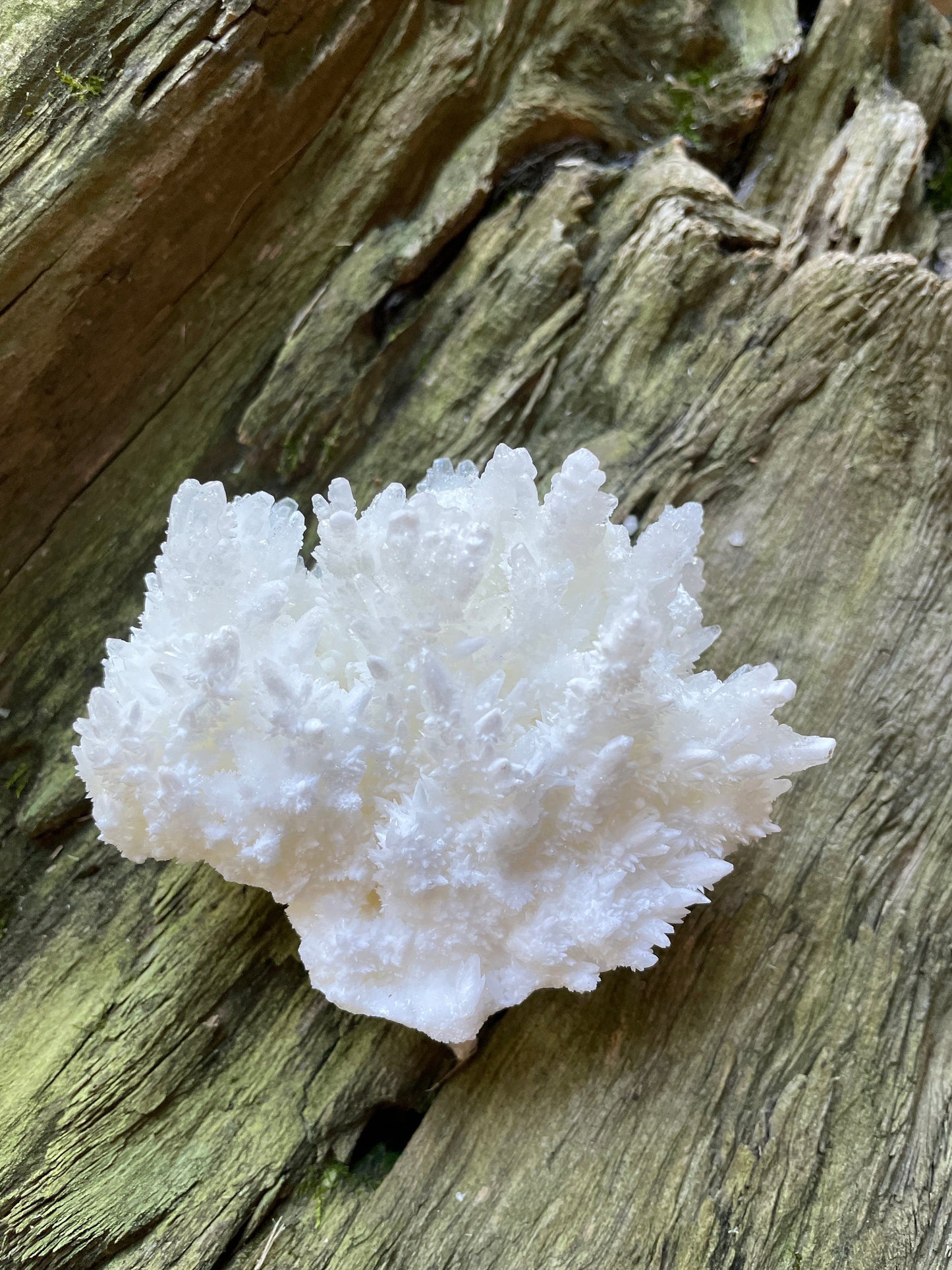 Aragonite Cave Calcite From Mexico 296.6g Specimen Crystals Minerals