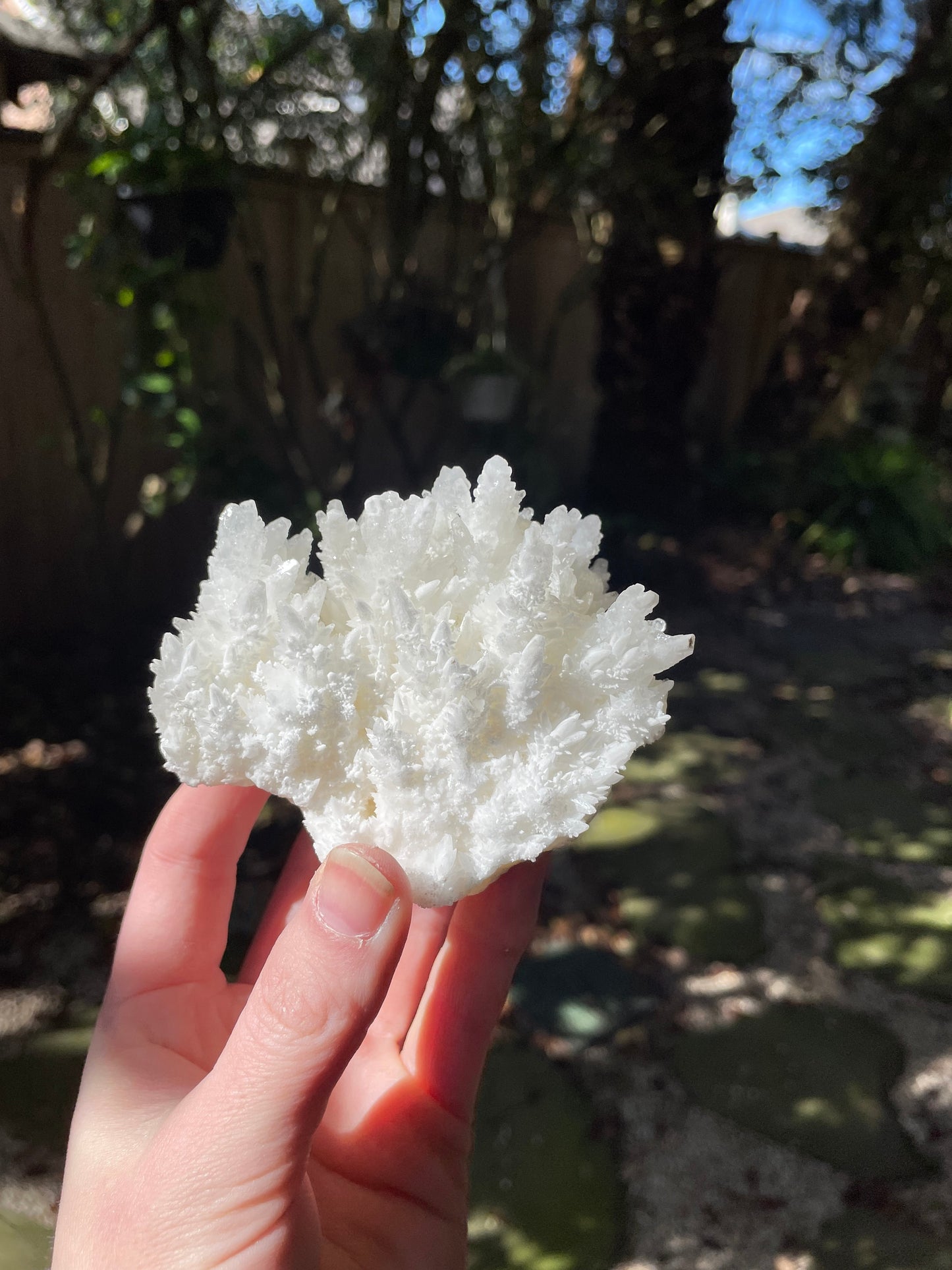 Aragonite Cave Calcite From Mexico 296.6g Specimen Crystals Minerals