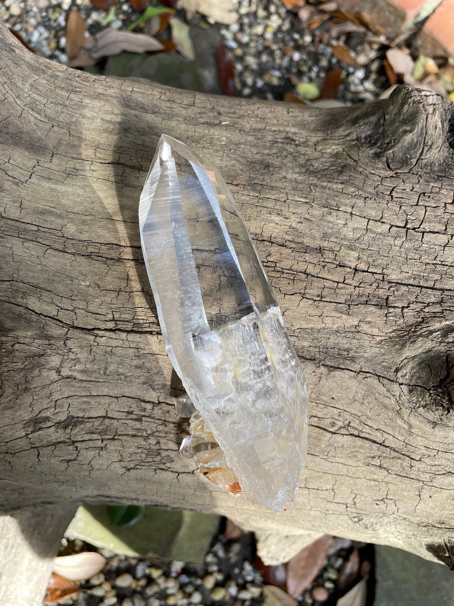 Stunning Large Columbian Lemurian Optical Quartz Point 194g Specimen Mineral Crystal Water Clear