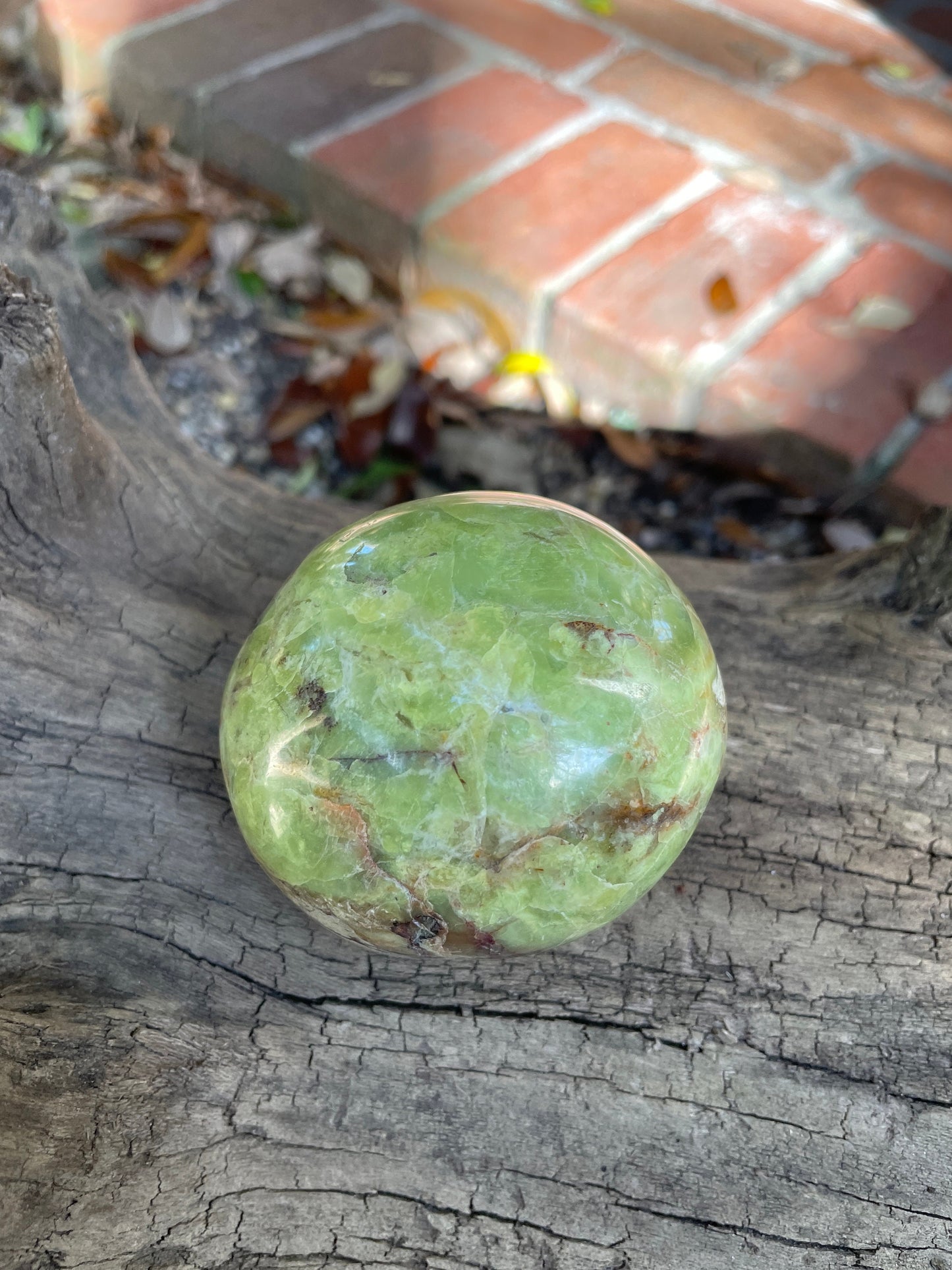 Polished Green Opal Palm Stone From Madagascar, Specimen 246.5g Mineral Crystal