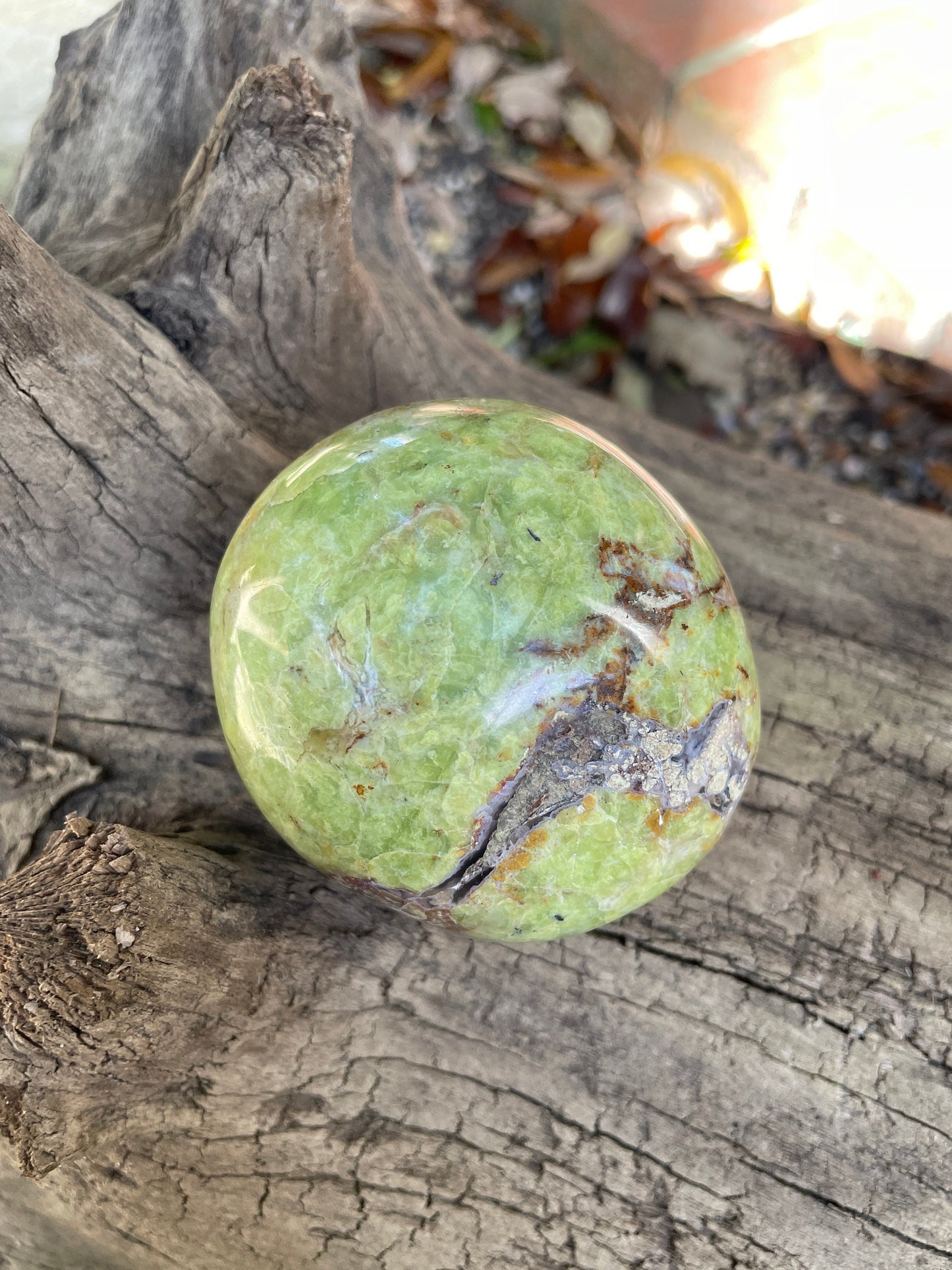 Polished Green Opal Palm Stone From Madagascar, Specimen 246.5g Mineral Crystal