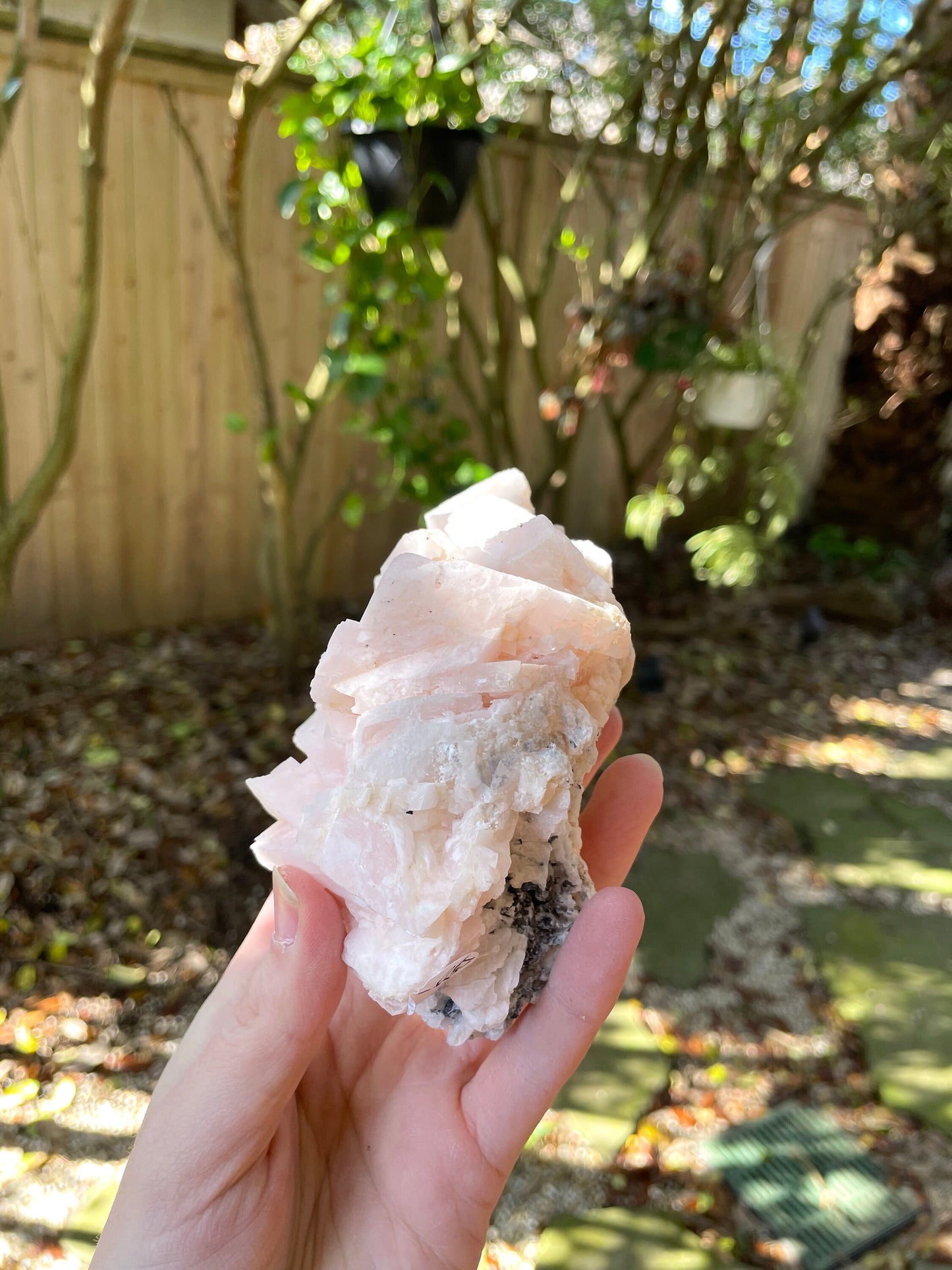 Mangano Calcite Specimen from Racracancha Mine, Cerro De Pasco, Peru 604g Mineral Crystal