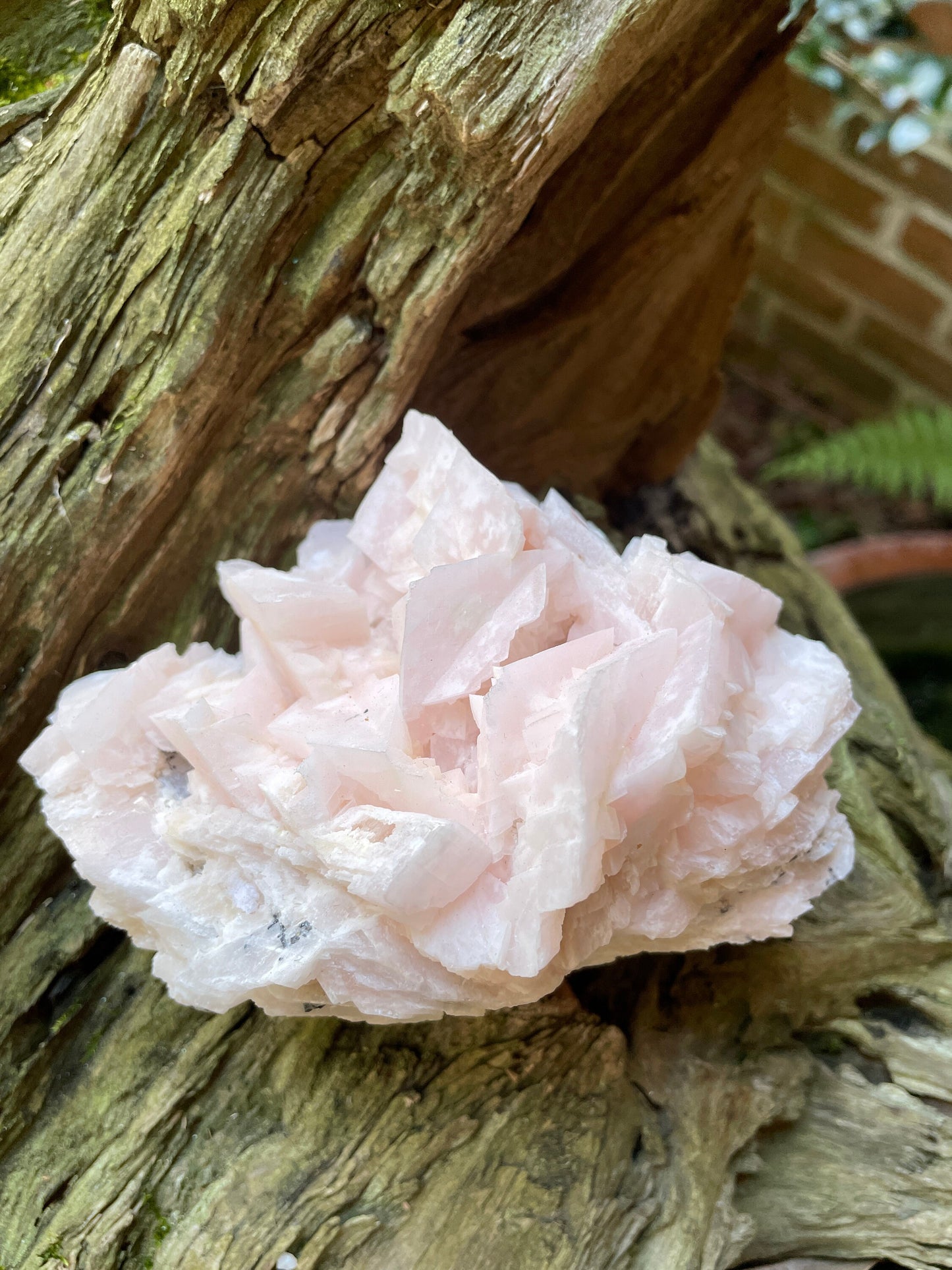 Mangano Calcite Specimen from Racracancha Mine, Cerro De Pasco, Peru 604g Mineral Crystal