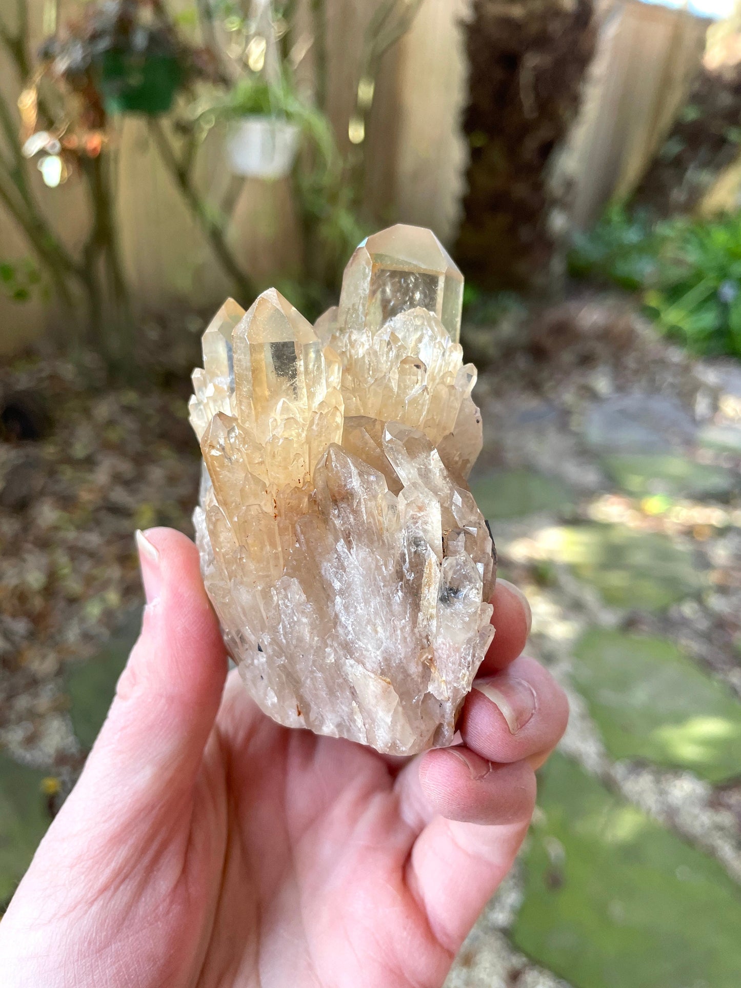 Natural Smokey Citrine Elestial Cathedral Quartz From Congo 265.3g Specimen Mineral Crystal
