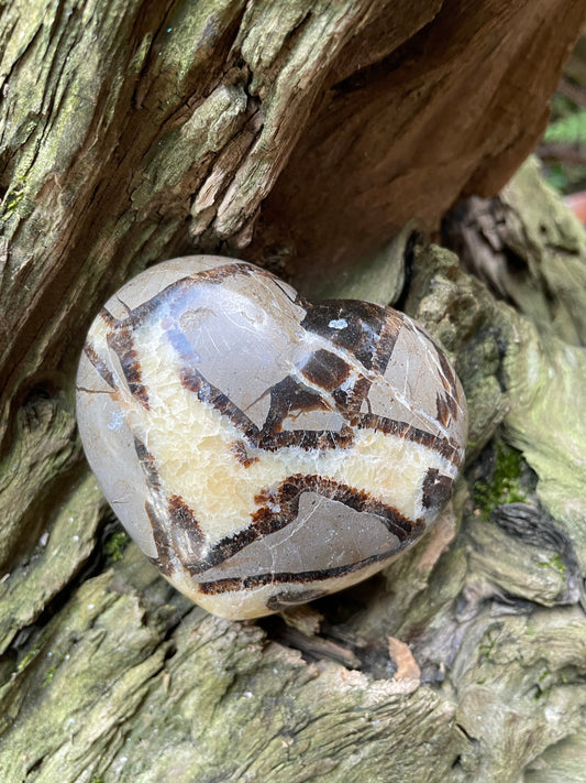 Lovely Septarian Calcite Polished Heart Stone Madagascar 257.7g Specimen