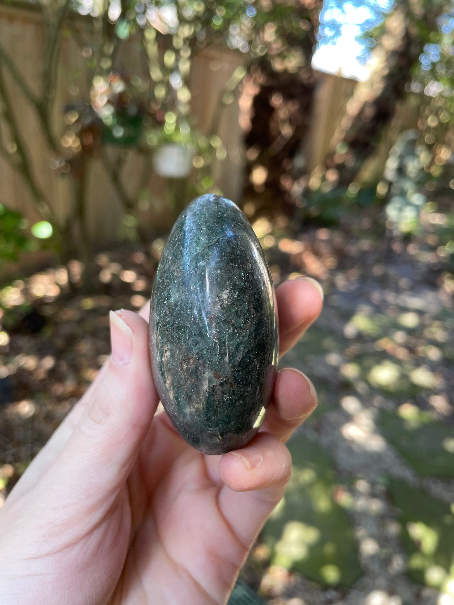 Deep Green Fuchsite palm stone 176.6g Specimen From Madagascar Crystals Minerals