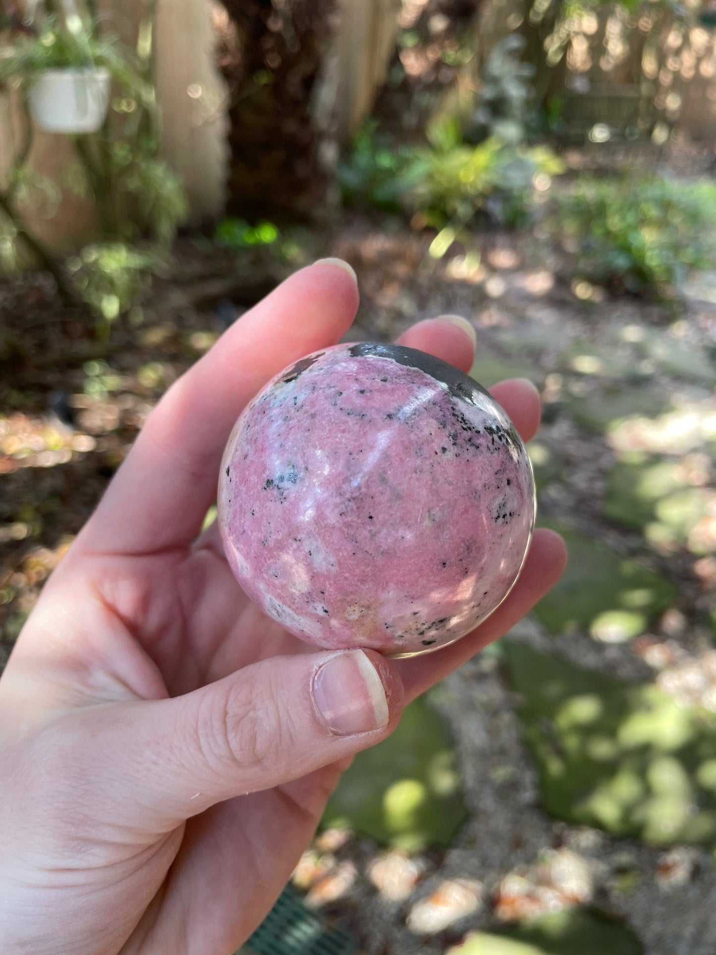 Rhodochrosite Sphere with Wooden Stand Specimen 319g 36mm 2.1" From Peru Mineral Crystal