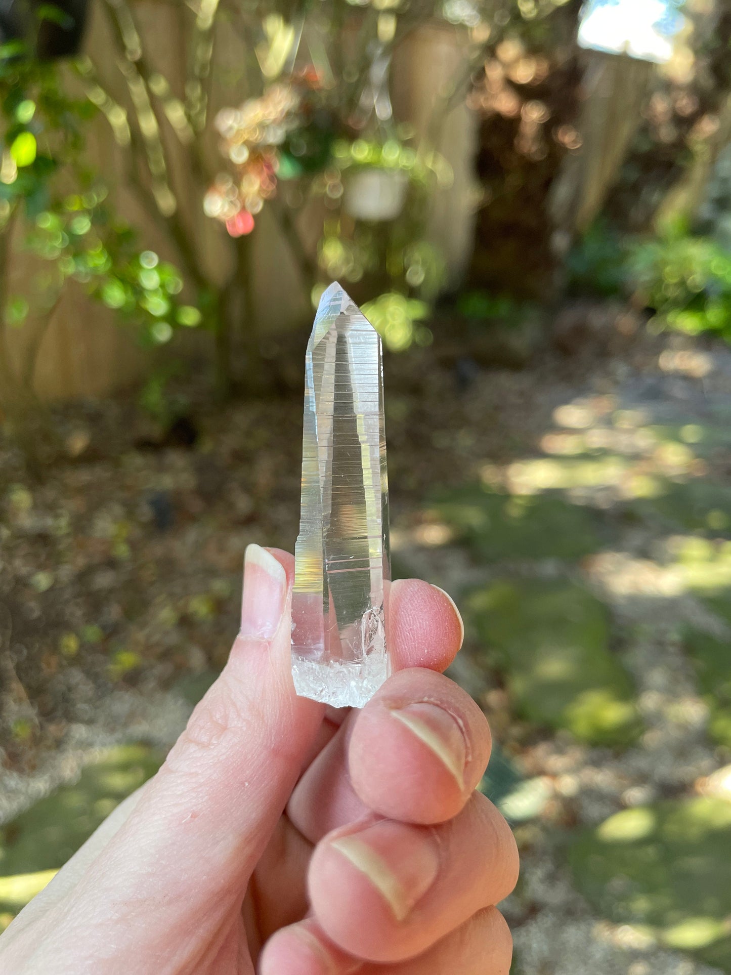 Stunning Columbian Lemurian Optical Quartz Point Specimen 13.2g Mineral Crystal