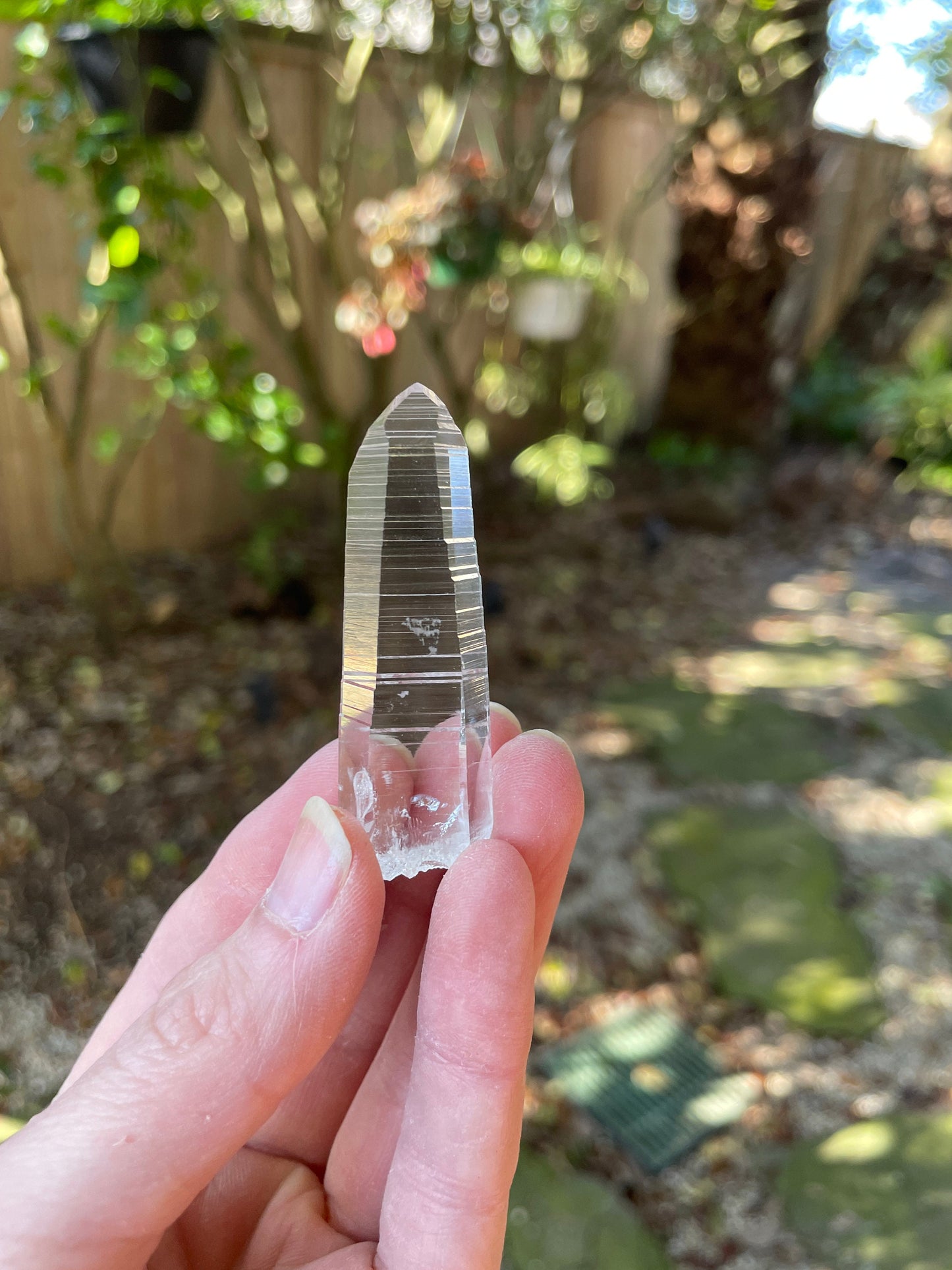 Stunning Columbian Lemurian Optical Quartz Point Specimen 13.2g Mineral Crystal