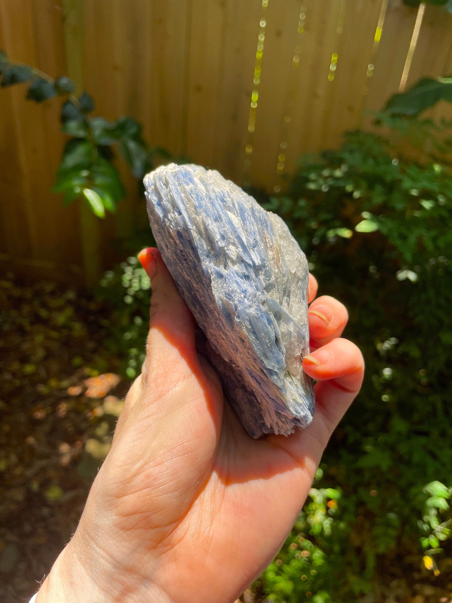 Blue Kyanite With Quartz 452g Specimen From Minas Gerais Brazil Specimen