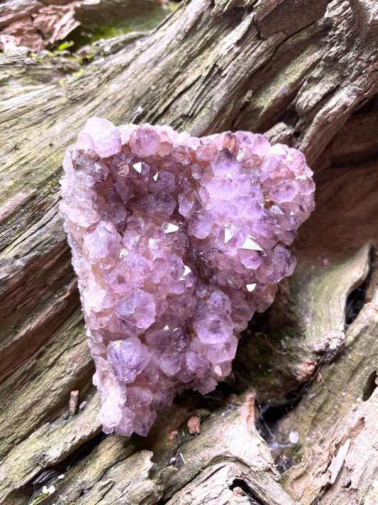 Amethyst  Spirit Quartz Cluster 151g Specimen From Mpumalanga South Africa