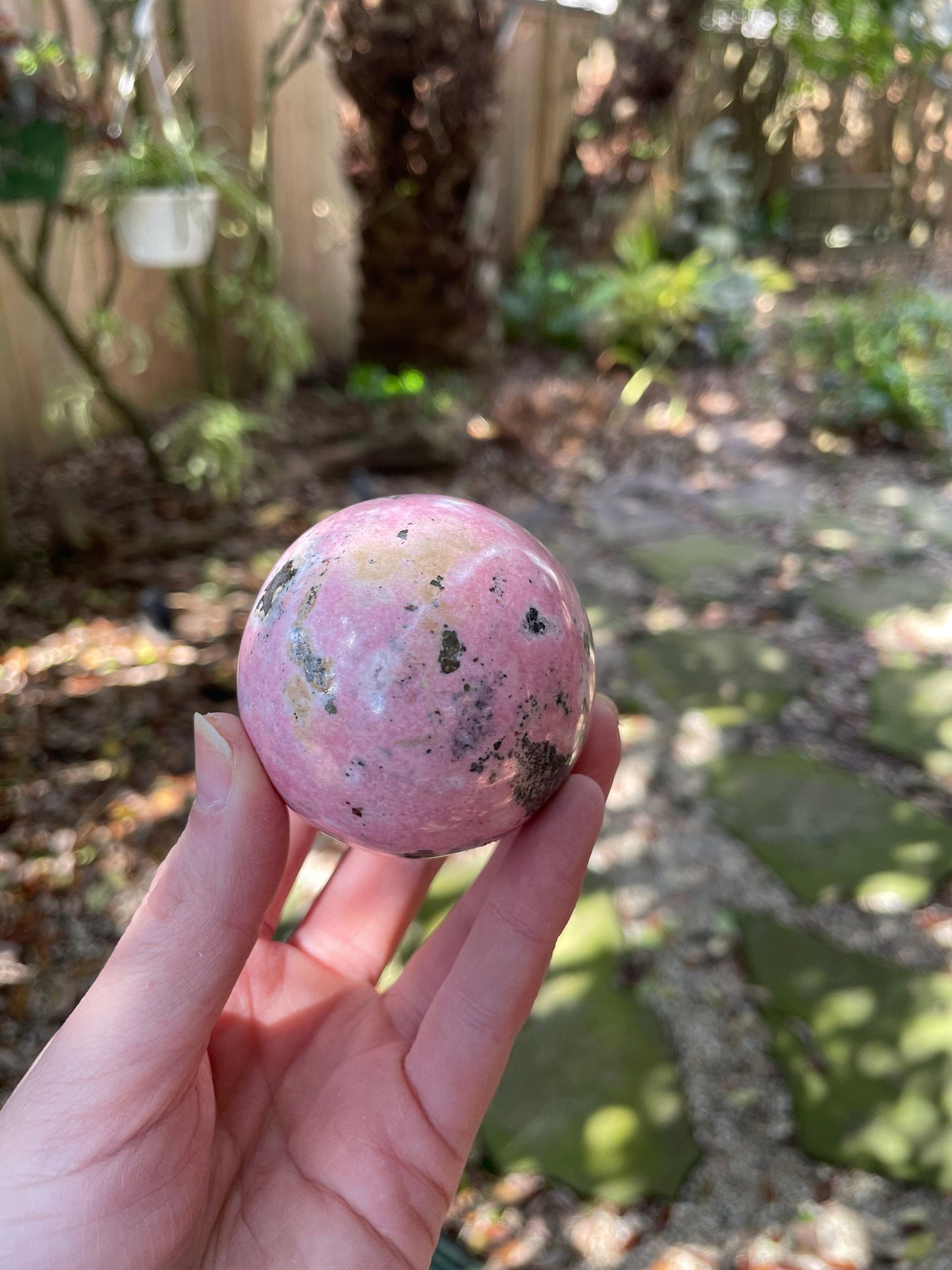 Rhodochrosite Sphere with Wooden Stand Specimen 319g 36mm 2.1" From Peru Mineral Crystal