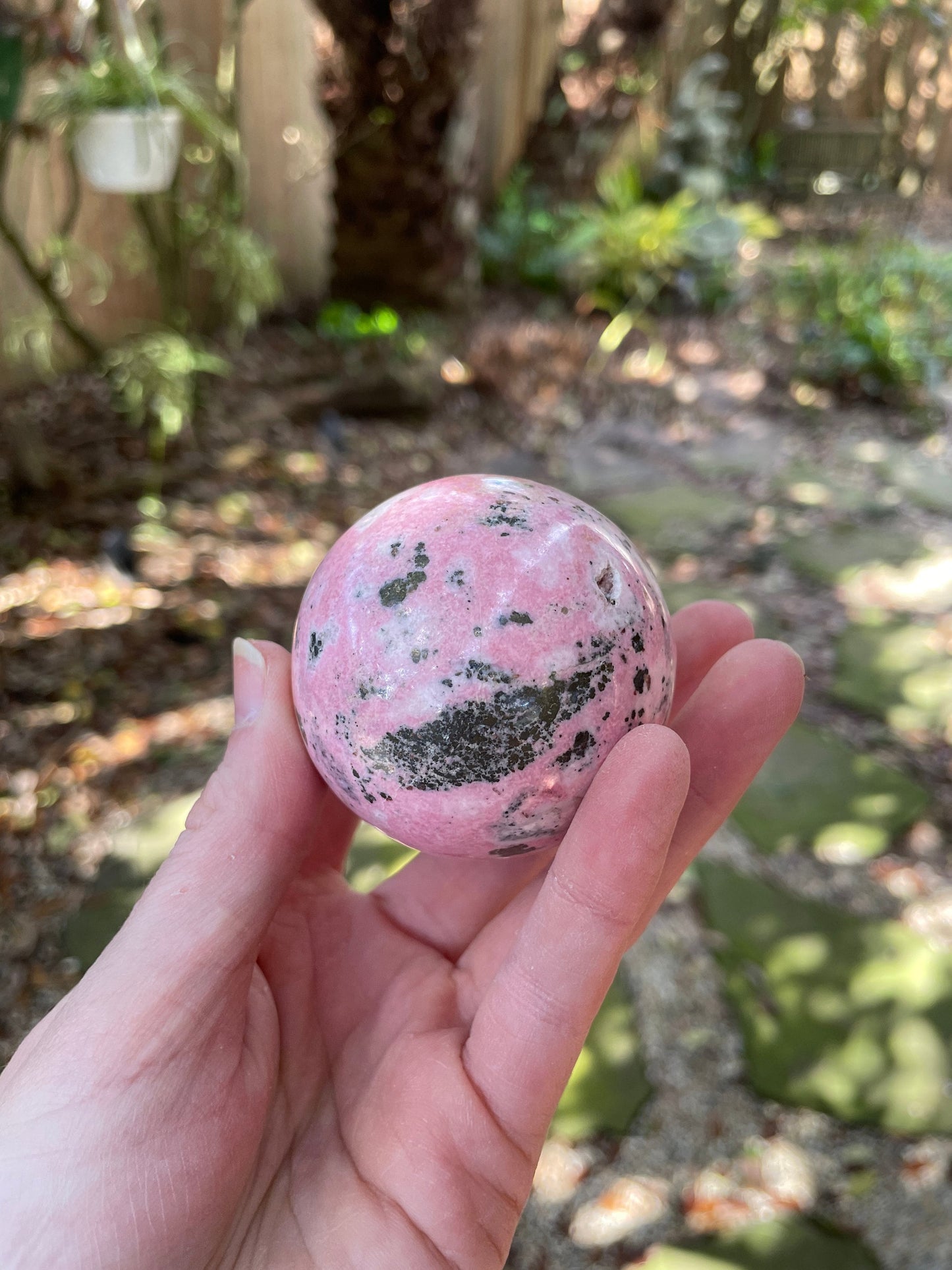 Rhodochrosite Sphere with Wooden Stand Specimen 319g 36mm 2.1" From Peru Mineral Crystal
