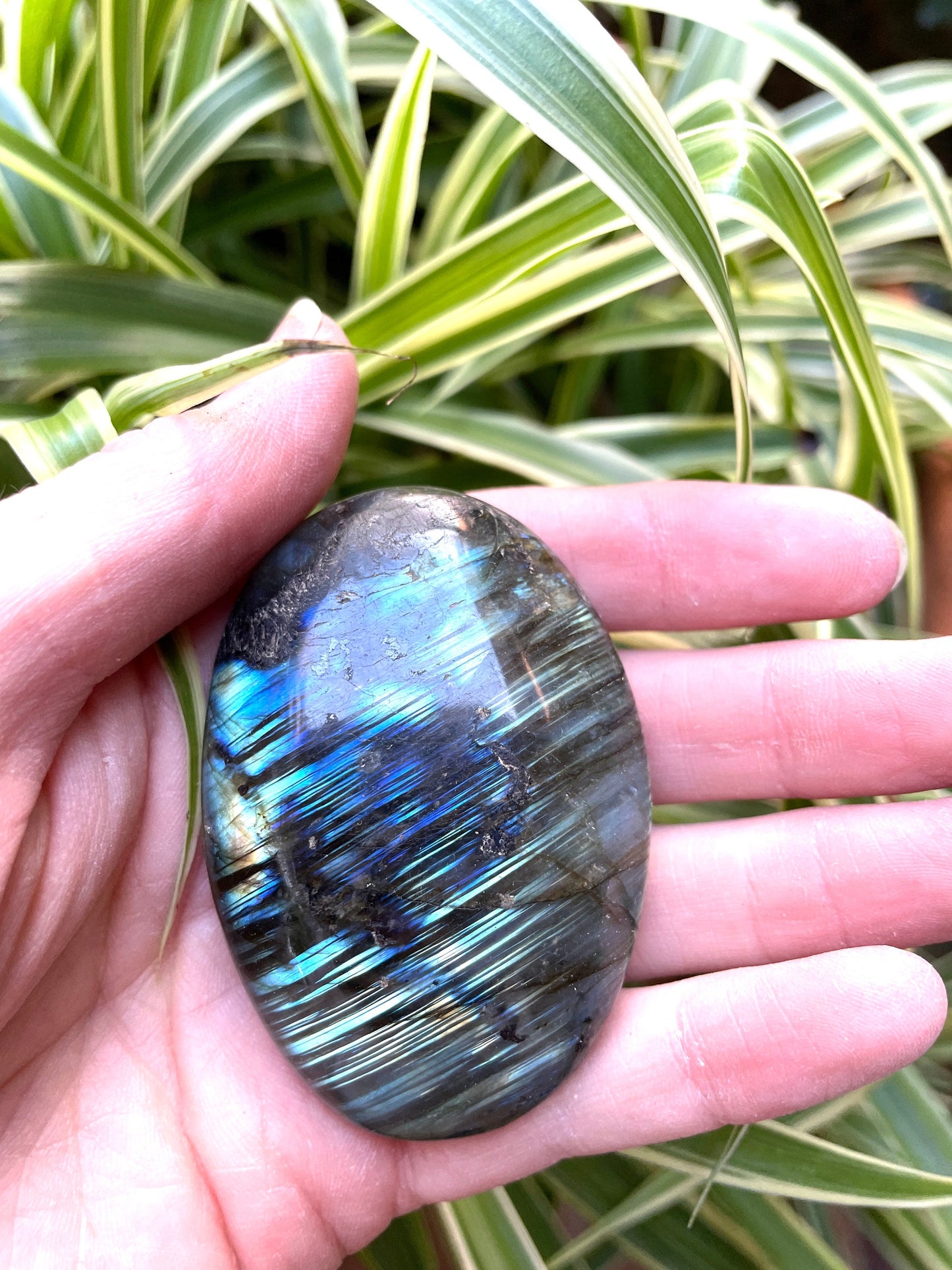 Small Polished Labradorite Palm Stone 86g Great Flash From Madagascar Mineral Crystal