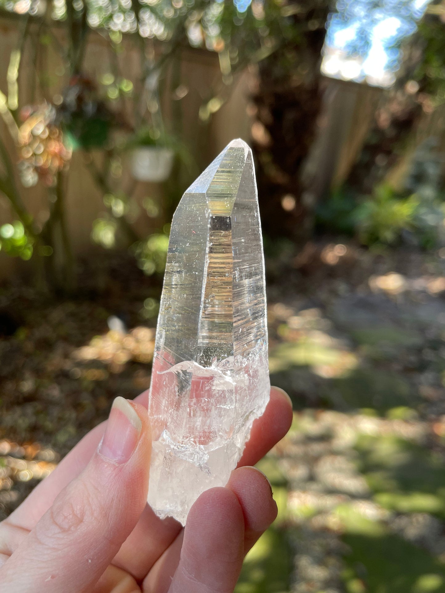 Stunning Columbian Lemurian Optical Quartz Point Specimen 61.8g Mineral Crystal