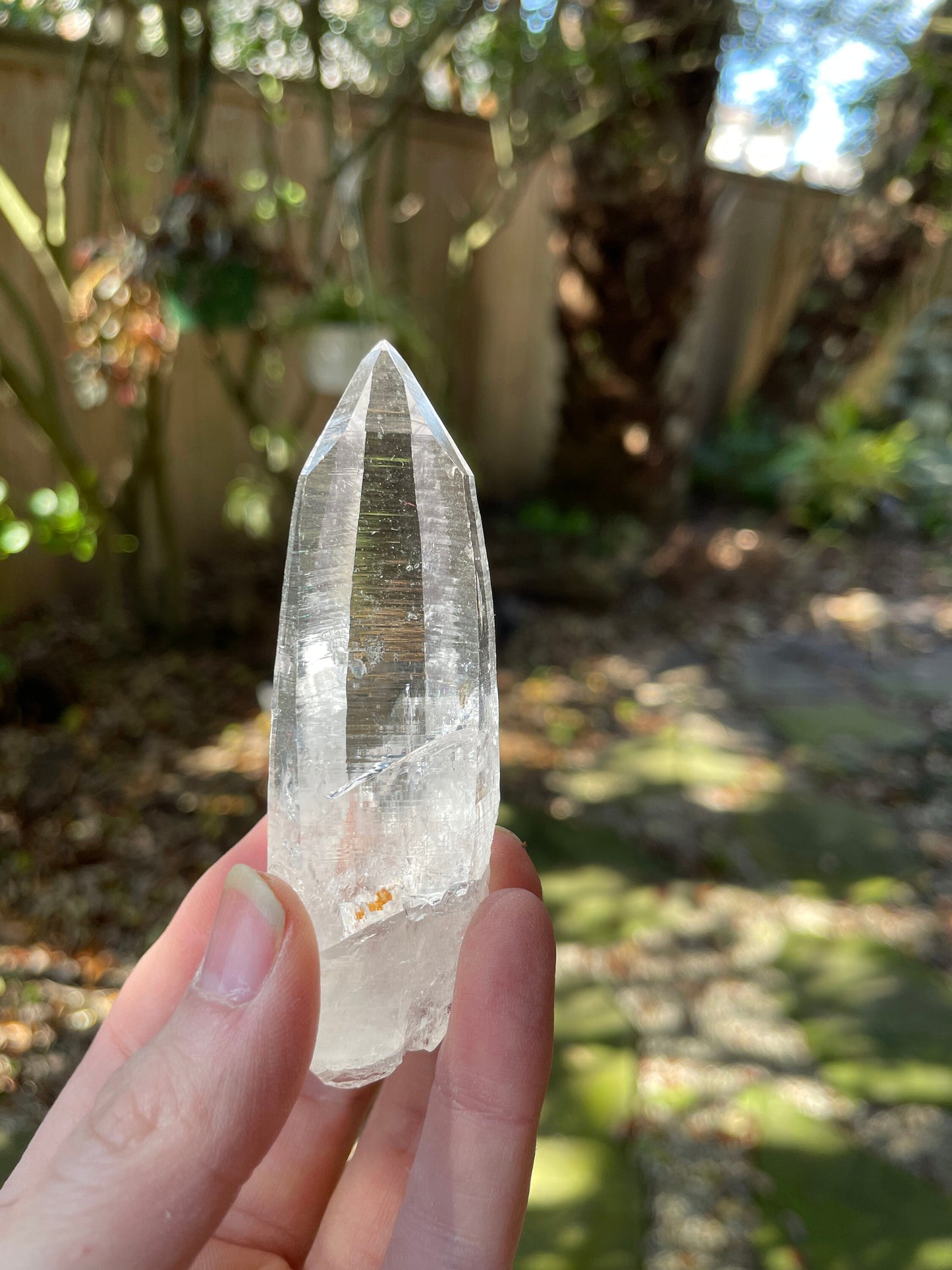 Stunning Columbian Lemurian Optical Quartz Point Specimen 61.8g Mineral Crystal