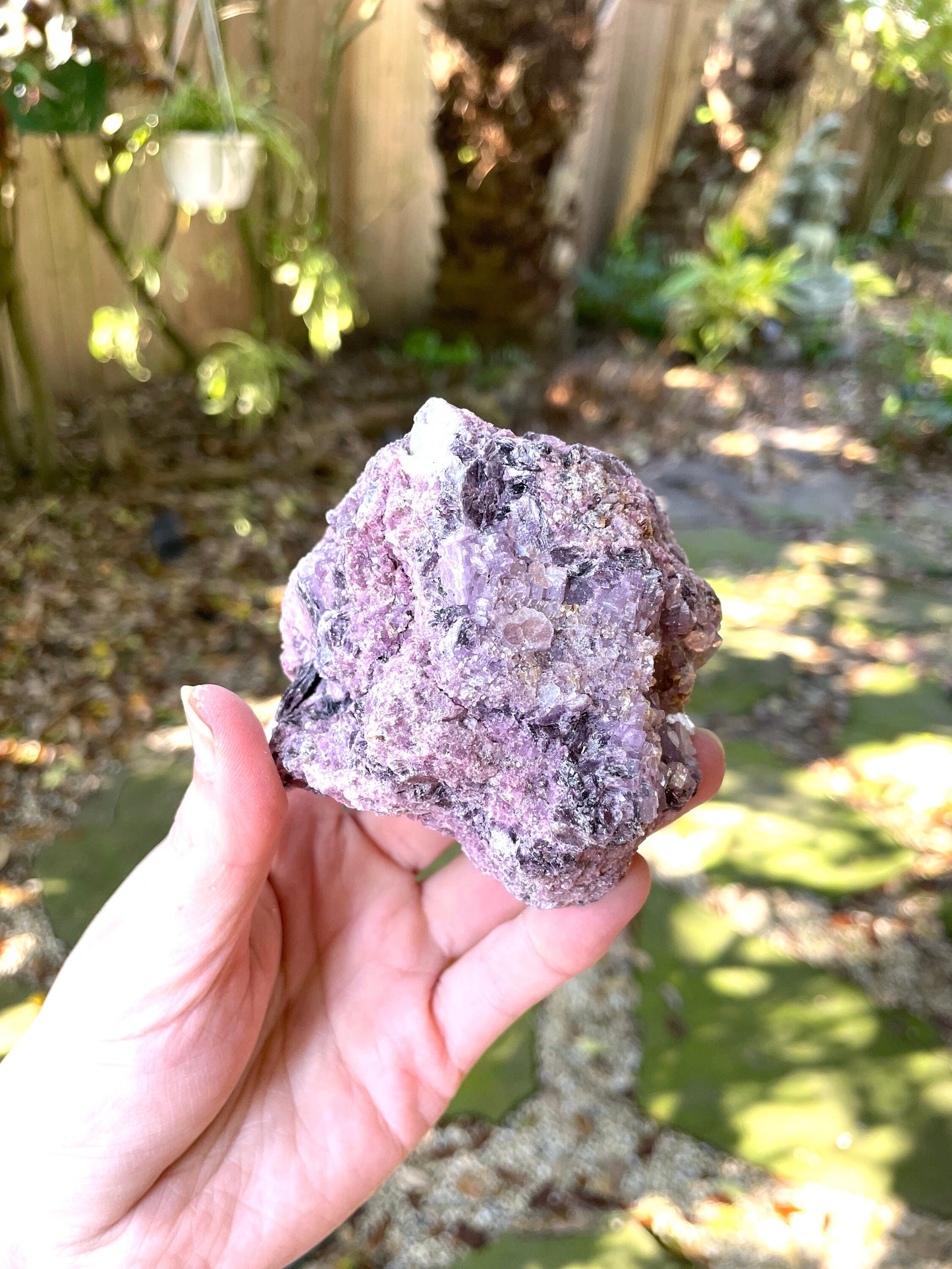 Beautiful Raw Lepidolite Specimen From Minas Gerais Brazil 366g Mineral Crystal Lithium