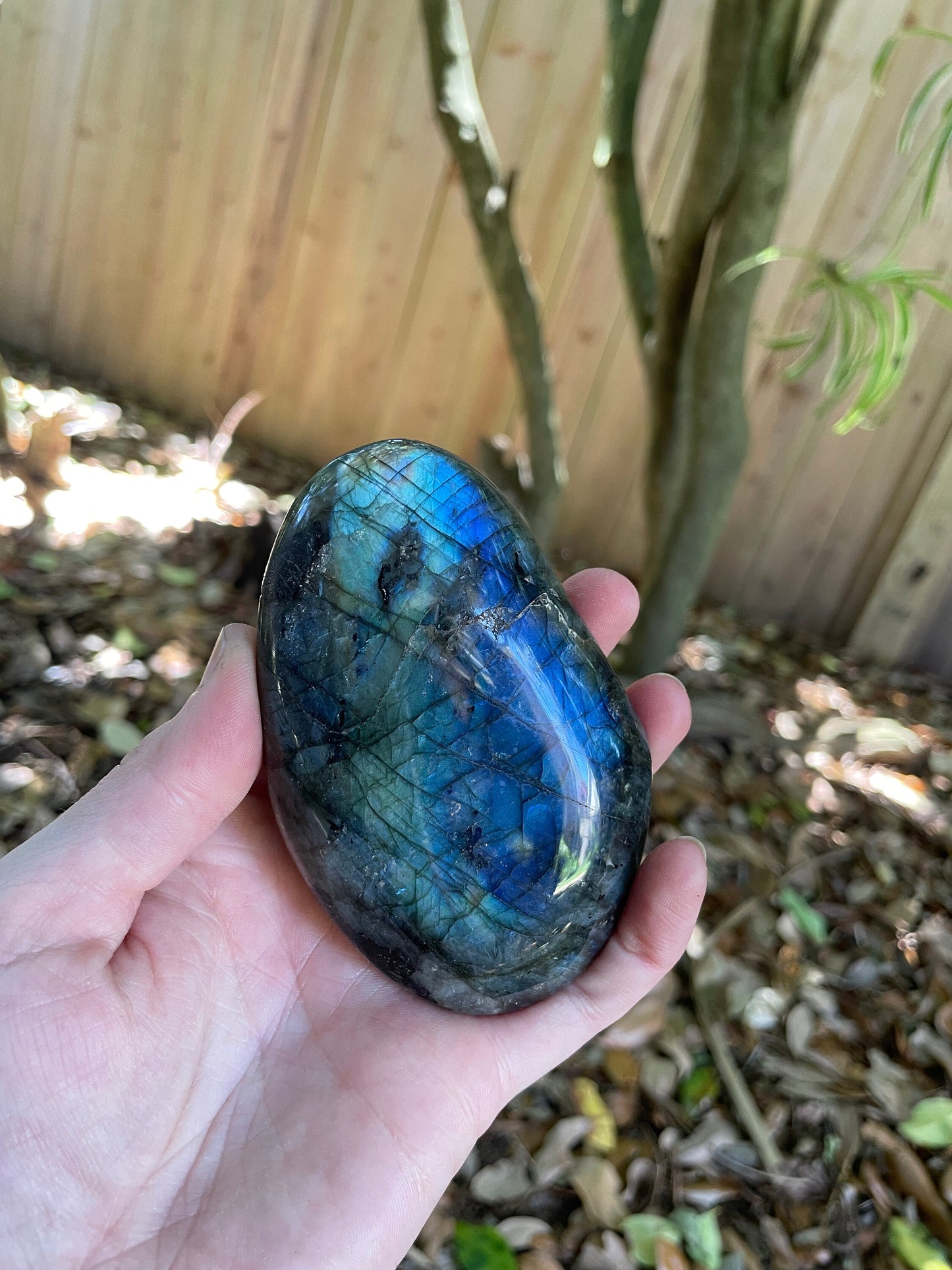 Lovely Polished  Labradorite Palm Stone 288g Great Flash From Madagascar Mineral Crystal