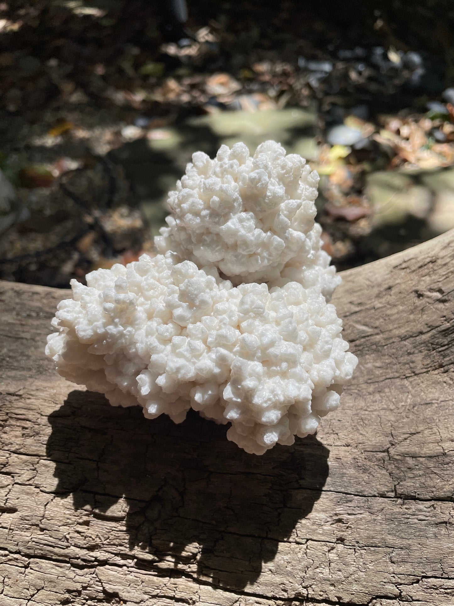 Aragonite Cave Calcite From Mina Potosi Chihuahua, Mexico 418g 14.7oz Specimen Mineral Crystal