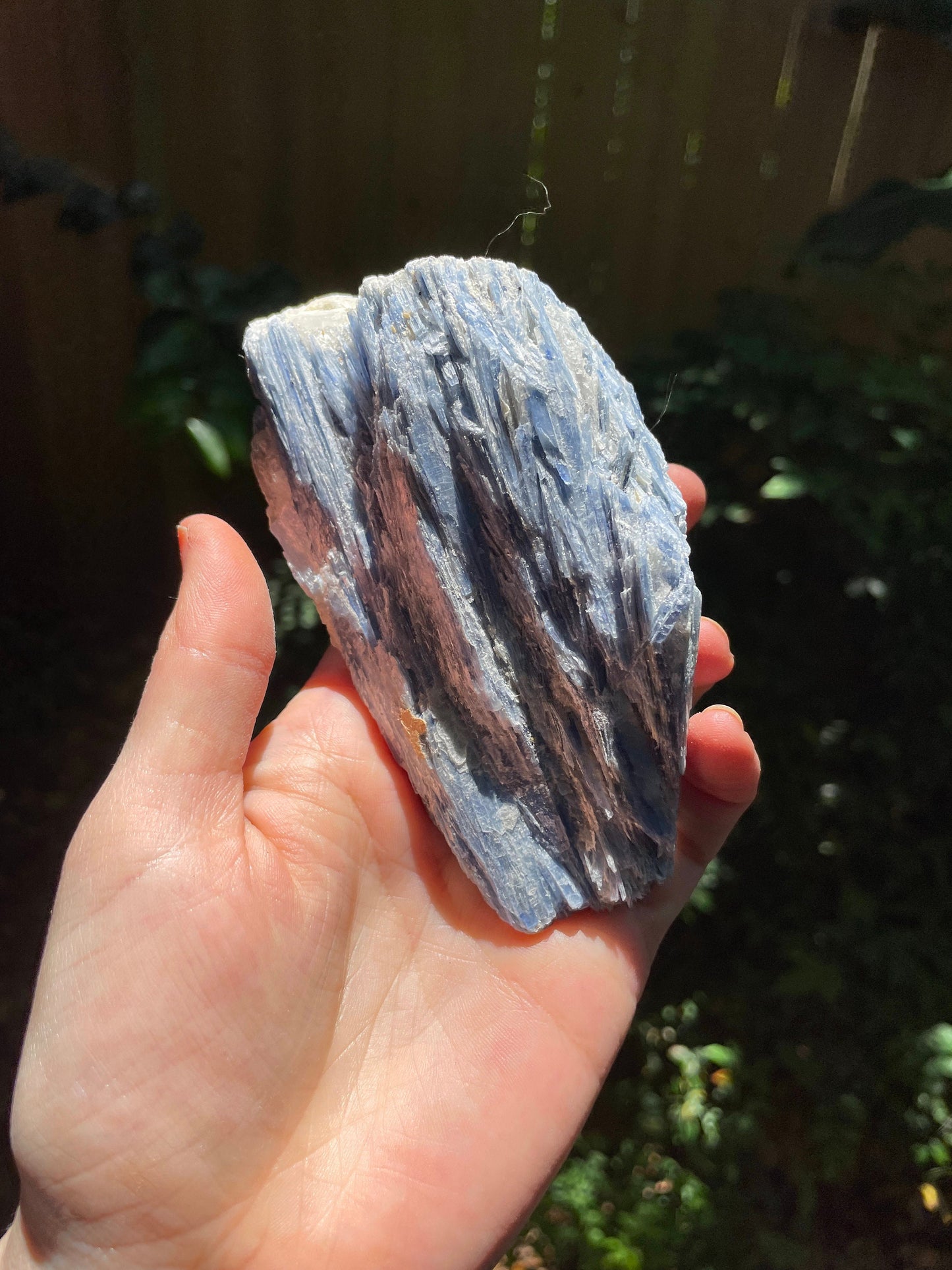 Blue Kyanite With Quartz 452g Specimen From Minas Gerais Brazil Specimen