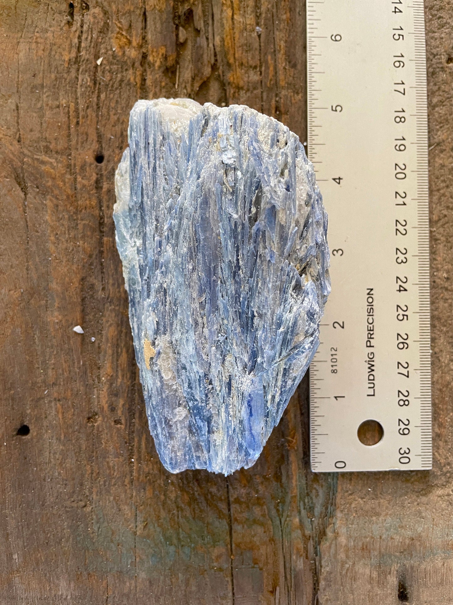 Blue Kyanite With Quartz 452g Specimen From Minas Gerais Brazil Specimen