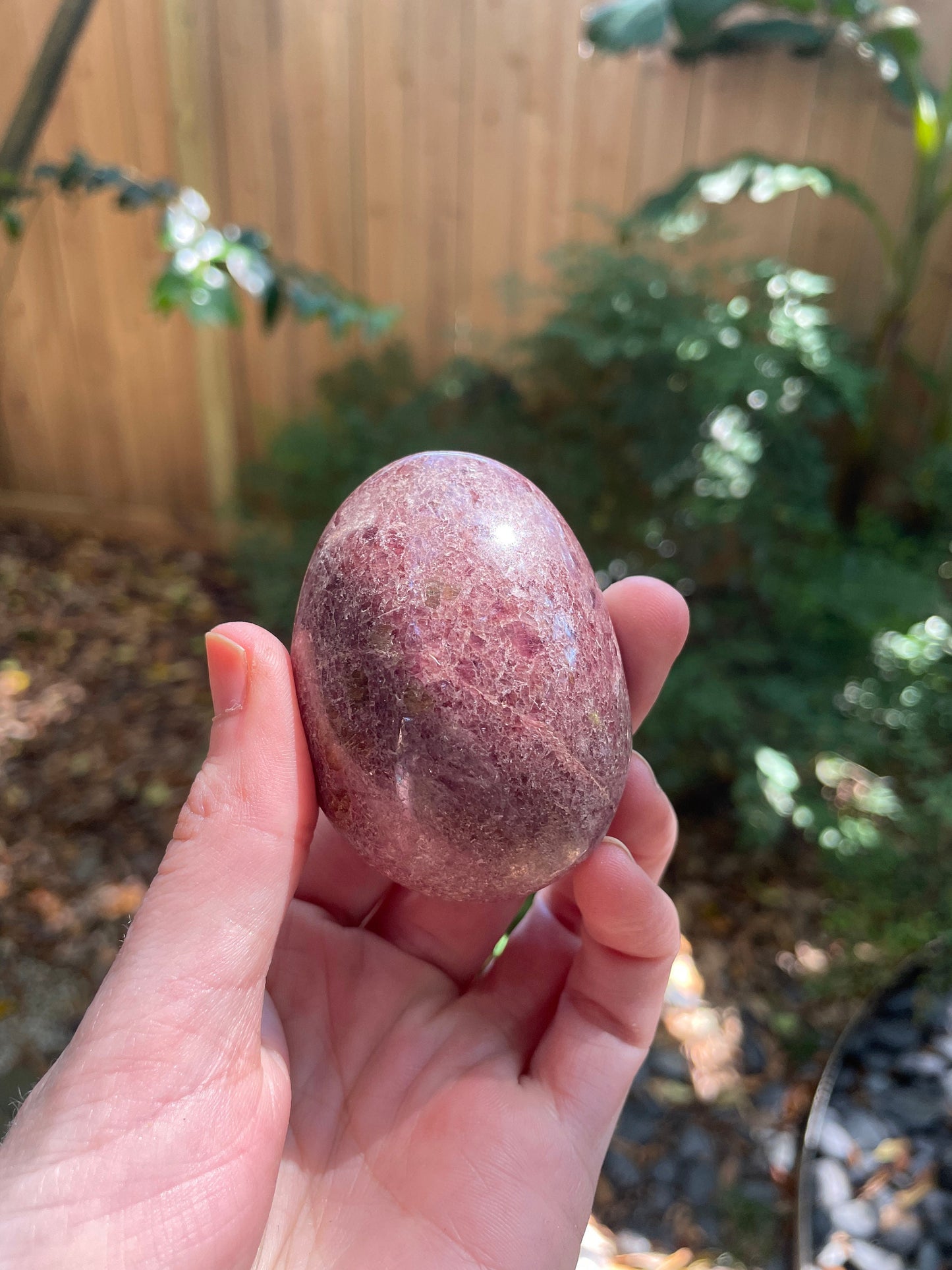 Beautiful Polished Palm Stone Rhodonite Specimen 160.8g From Madagascar Mineral Crystal