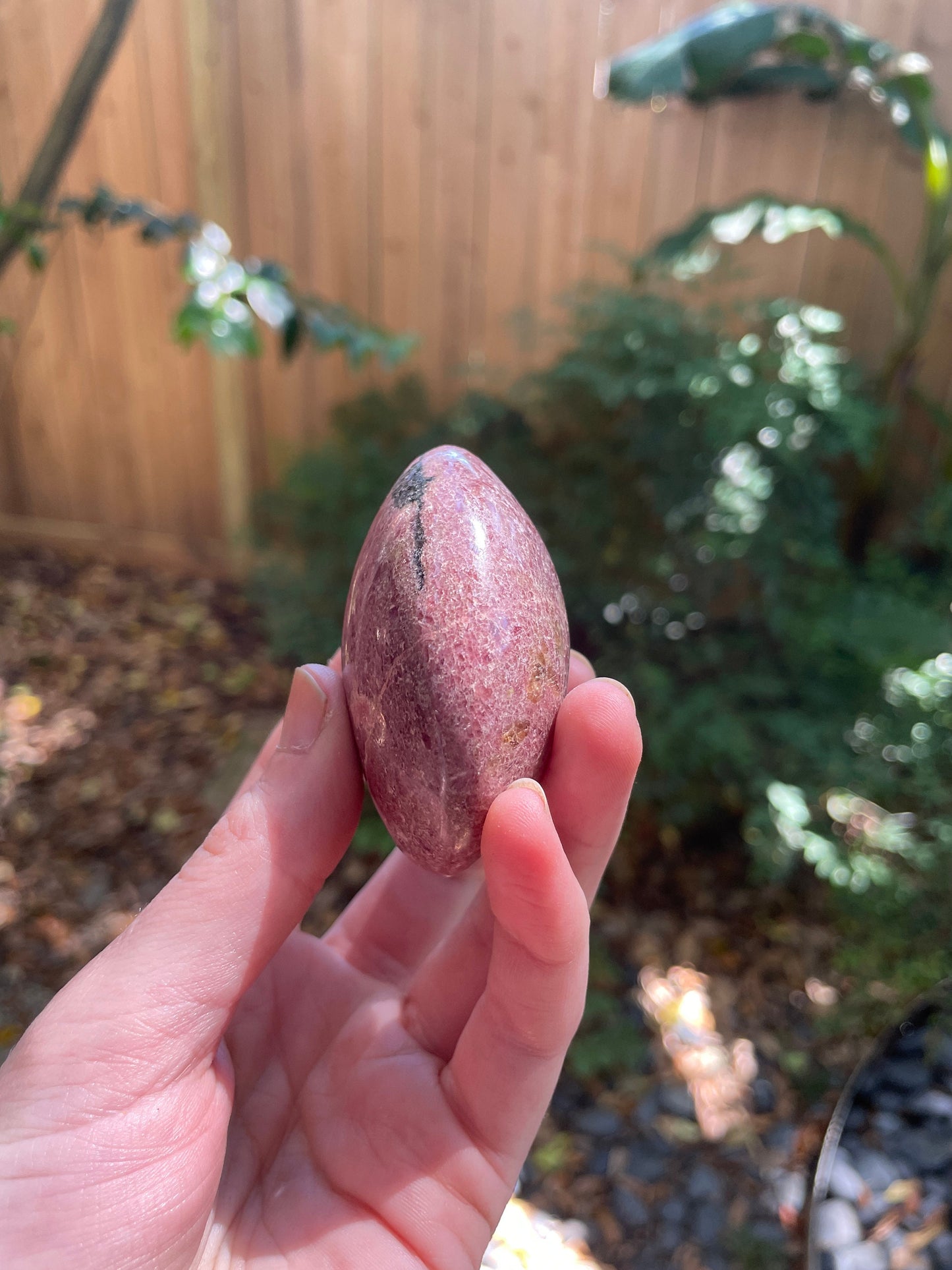 Beautiful Polished Palm Stone Rhodonite Specimen 160.8g From Madagascar Mineral Crystal