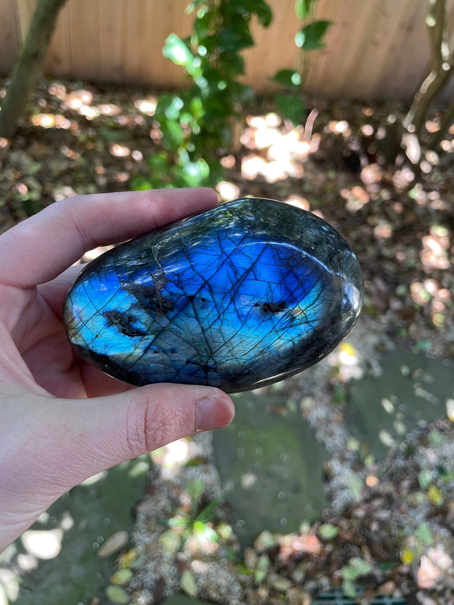 Lovely Polished  Labradorite Palm Stone 288g Great Flash From Madagascar Mineral Crystal