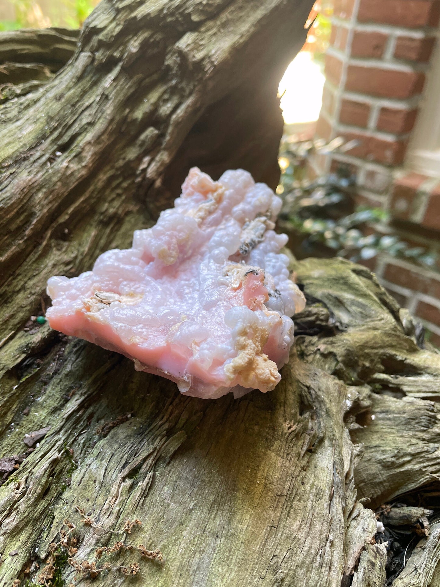 Beautiful Botryoidal Natural Pink Opal from Ica, Peru Specimen 230g Mineral Crystal