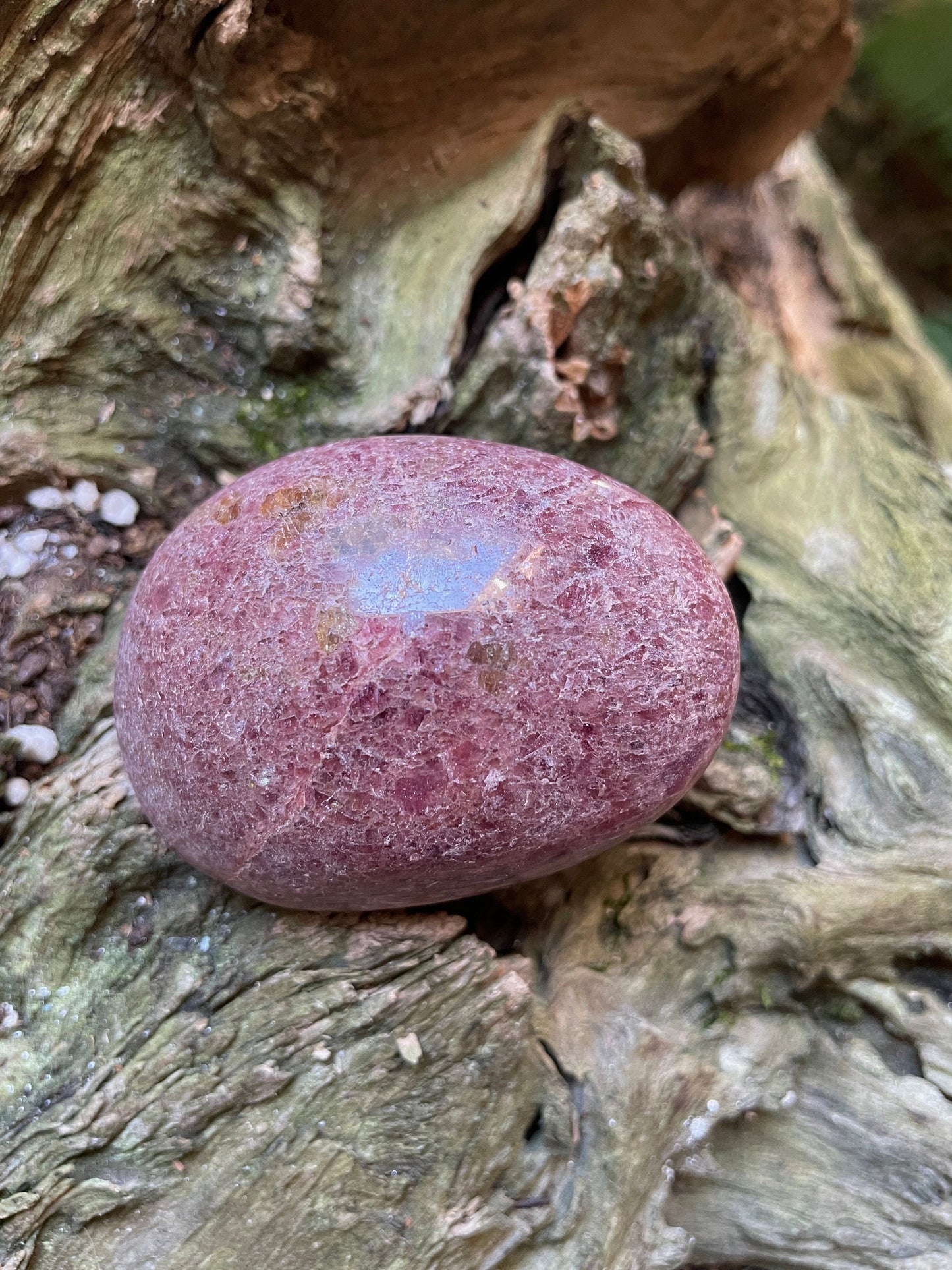 Beautiful Polished Palm Stone Rhodonite Specimen 160.8g From Madagascar Mineral Crystal