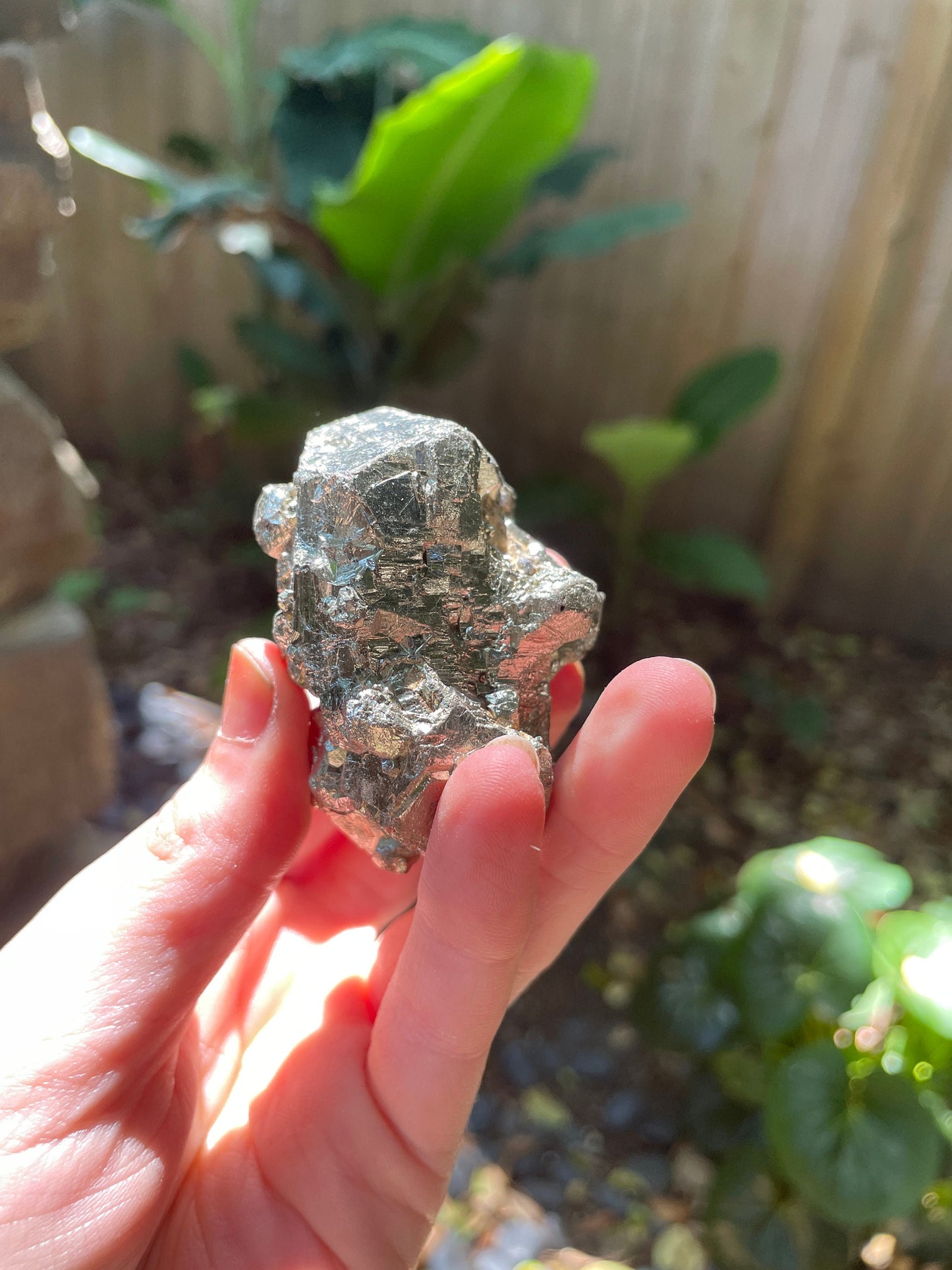 Beautiful Rare Natural Raw Pyrite Crystal 220g, Shiver Boyaca, Columbia Mineral Specimen