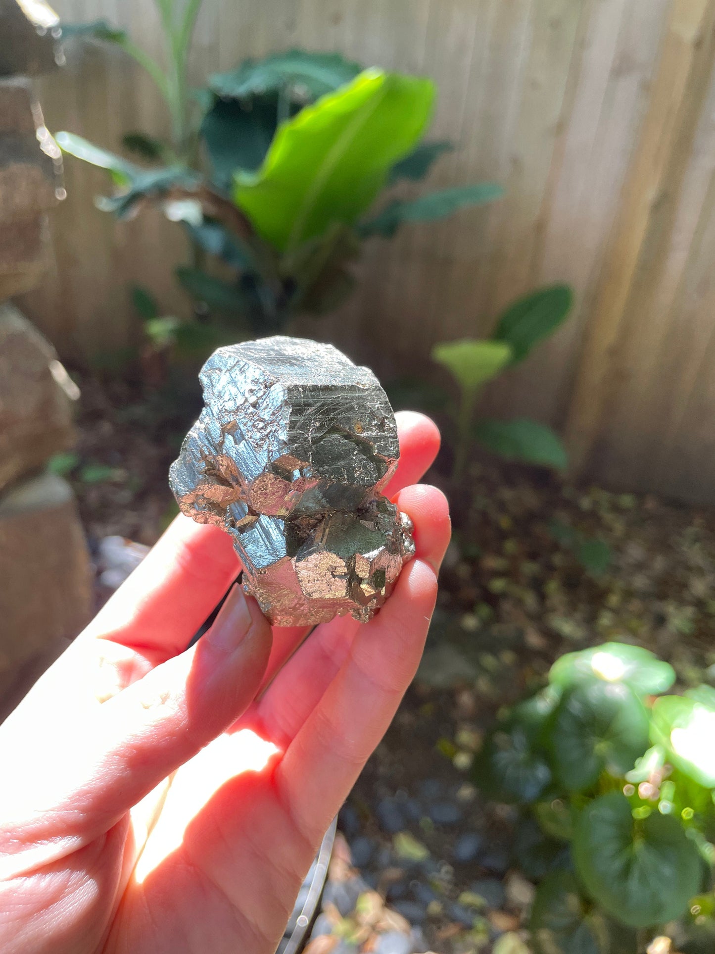 Beautiful Rare Natural Raw Pyrite Crystal 220g, Shiver Boyaca, Columbia Mineral Specimen