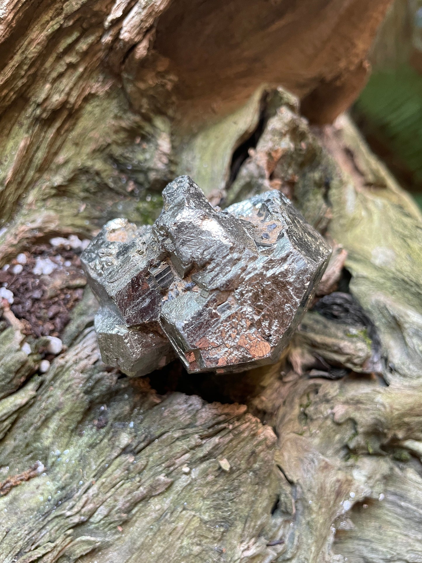 Beautiful Rare Natural Raw Pyrite Crystal 220g, Shiver Boyaca, Columbia Mineral Specimen