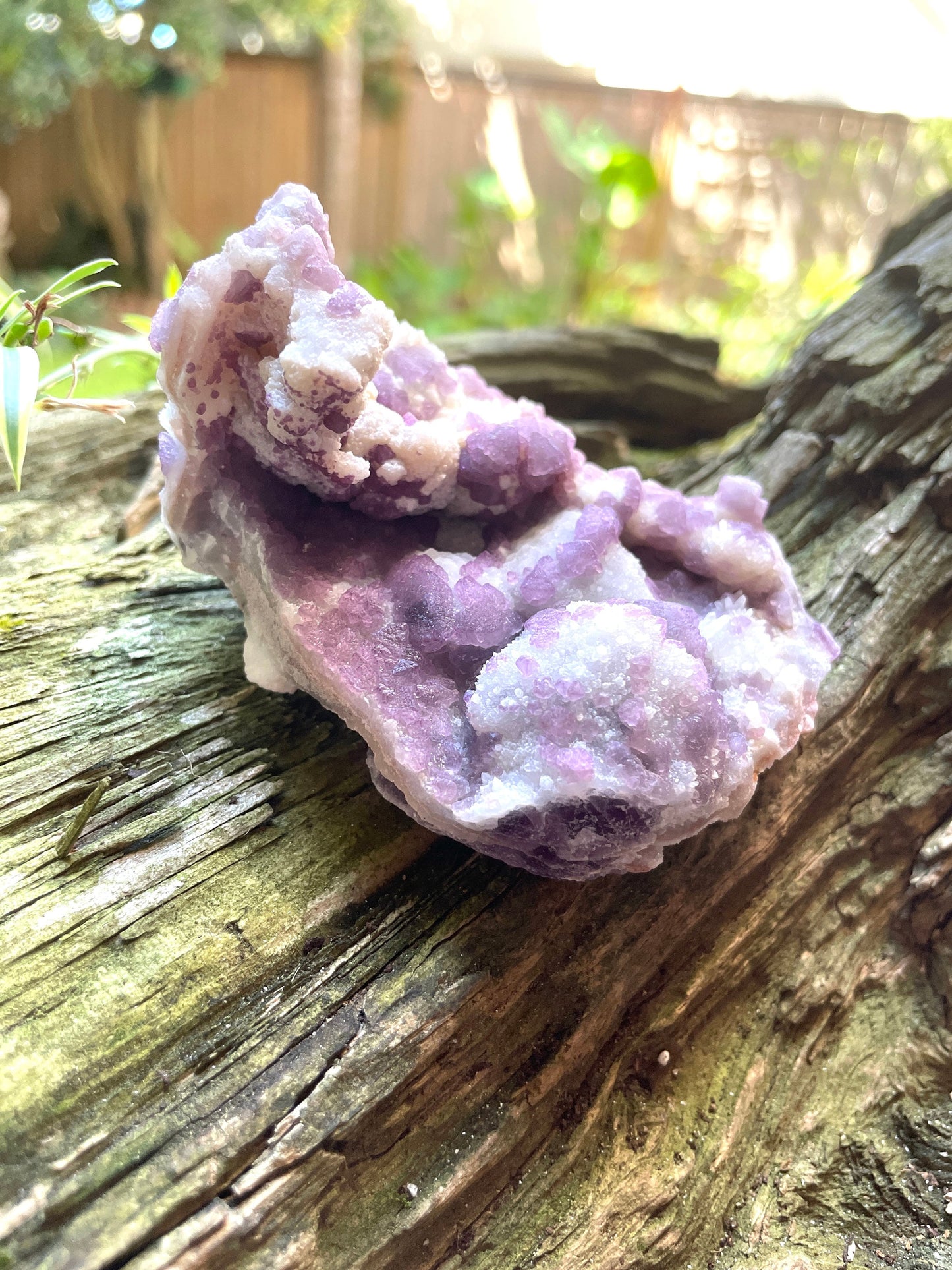 Purple Fluorite With Quartz Epimorphs 208g Second Chance Vein, Tombstone AZ Mineral Crystal