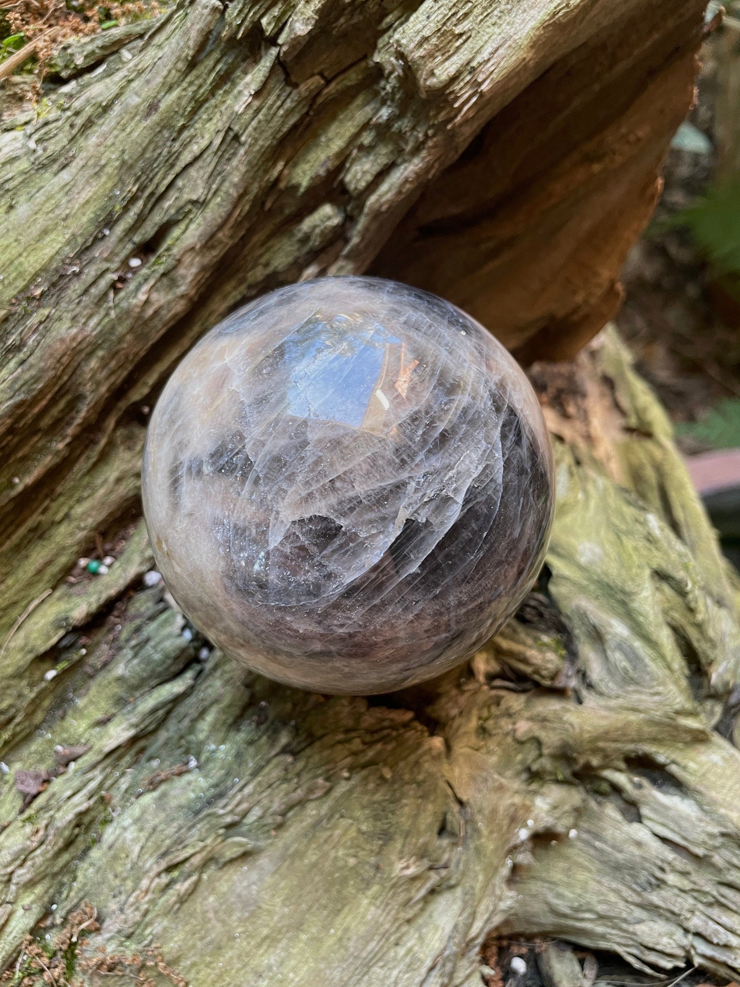 Black Moonstone Sphere with Wooden Stand  82mm 3.2" 754g 1lb 10.6oz Specimen From Madagascar Display