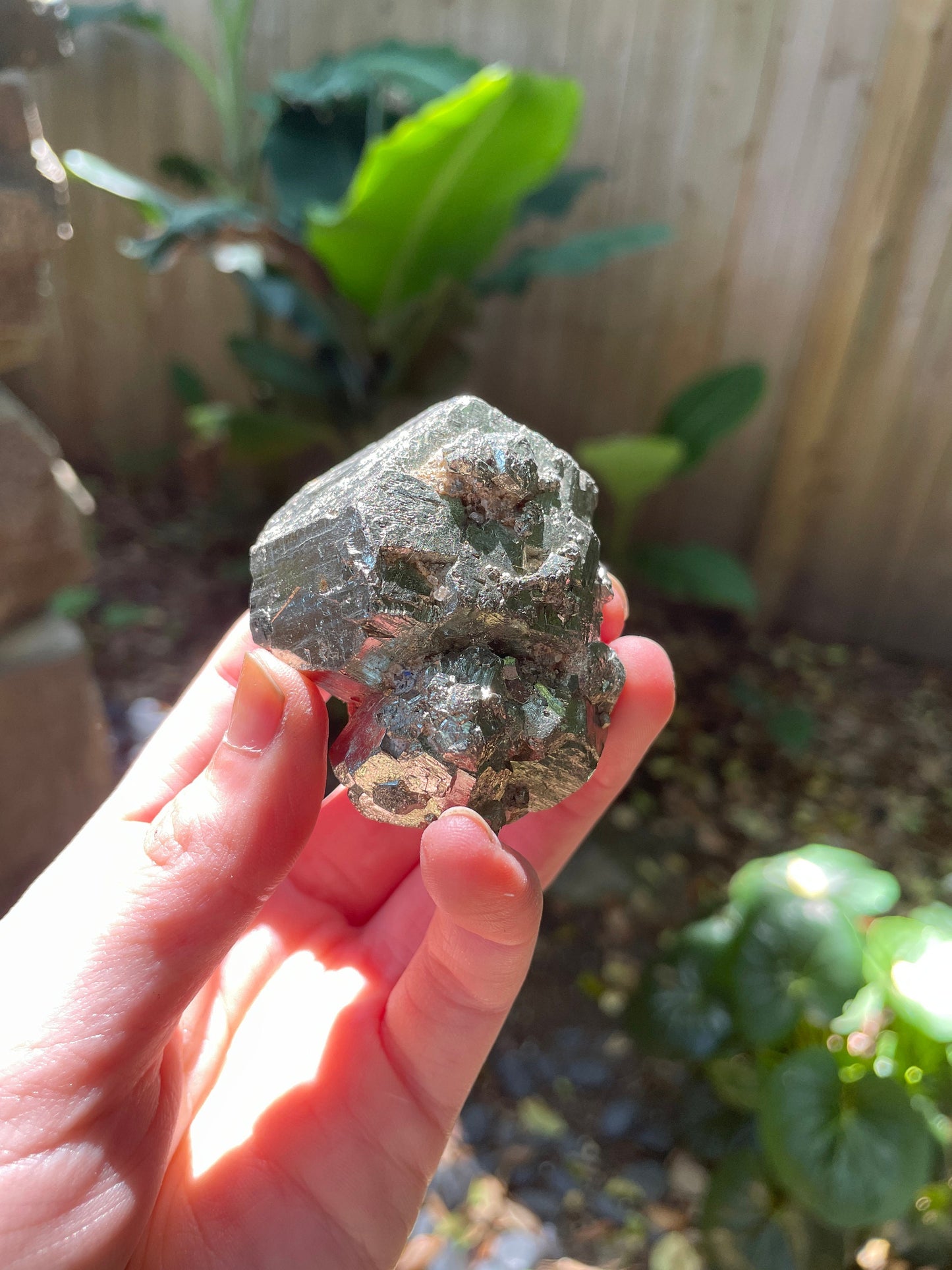 Beautiful Rare Natural Raw Pyrite Crystal 220g, Shiver Boyaca, Columbia Mineral Specimen