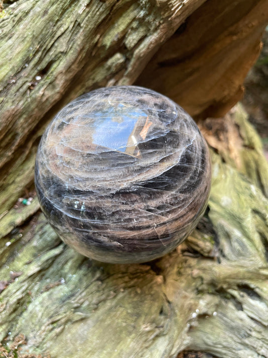 Black Moonstone Sphere with Wooden Stand  82mm 3.2" 754g 1lb 10.6oz Specimen From Madagascar Display