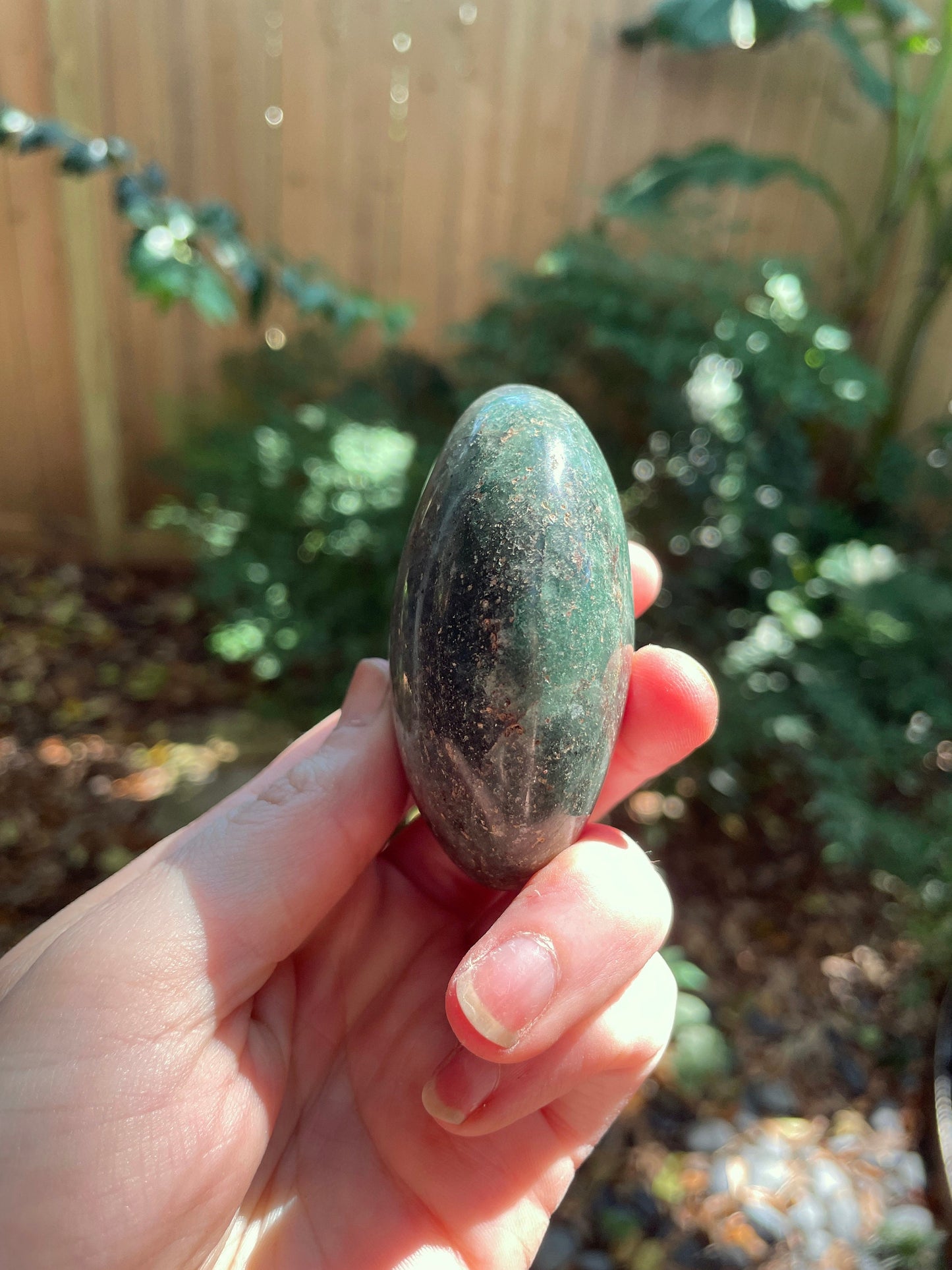 Deep Green Fuchsite palm stone 150.7g Specimen From Madagascar Crystals Minerals