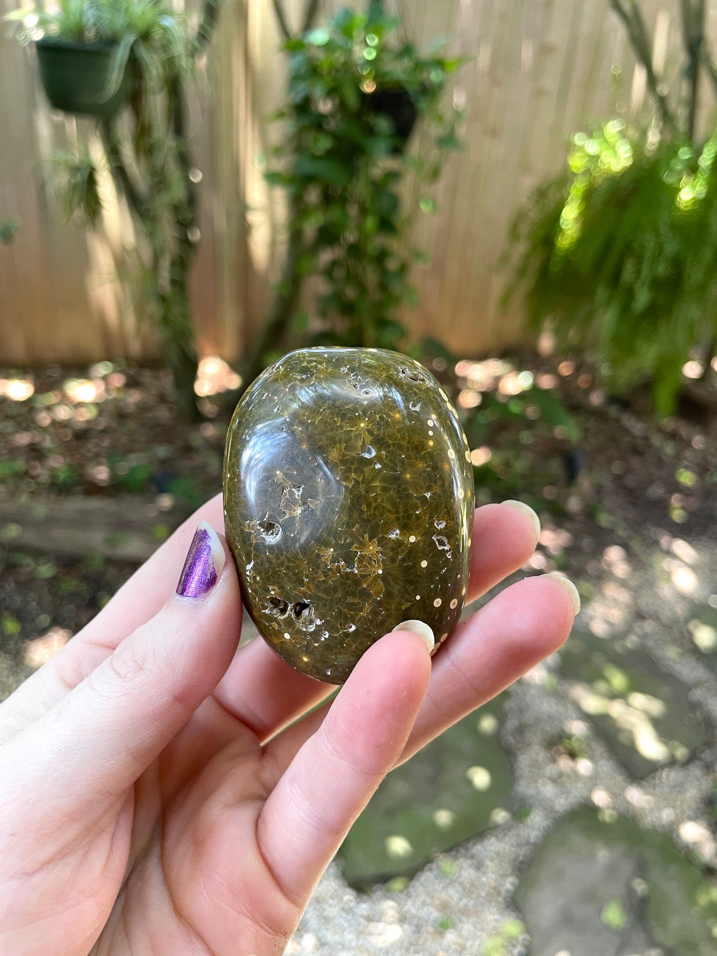 Beautiful Ocean Jasper Palm Stone 107.8g  From Madagascar Mineral Crystal