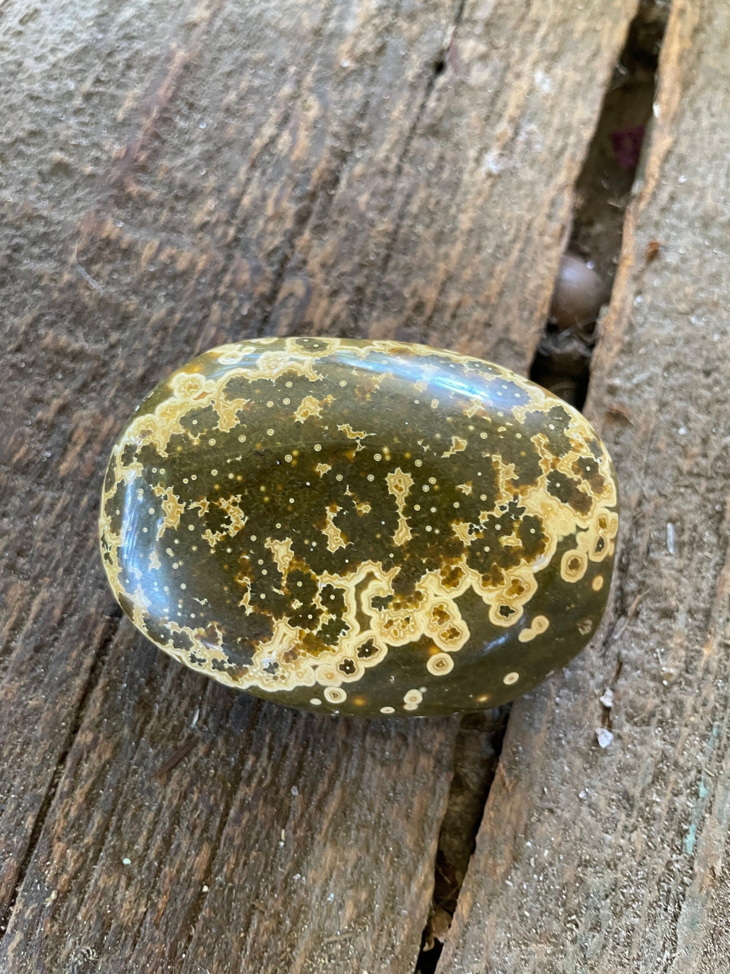 Beautiful Ocean Jasper Palm Stone 107.8g  From Madagascar Mineral Crystal