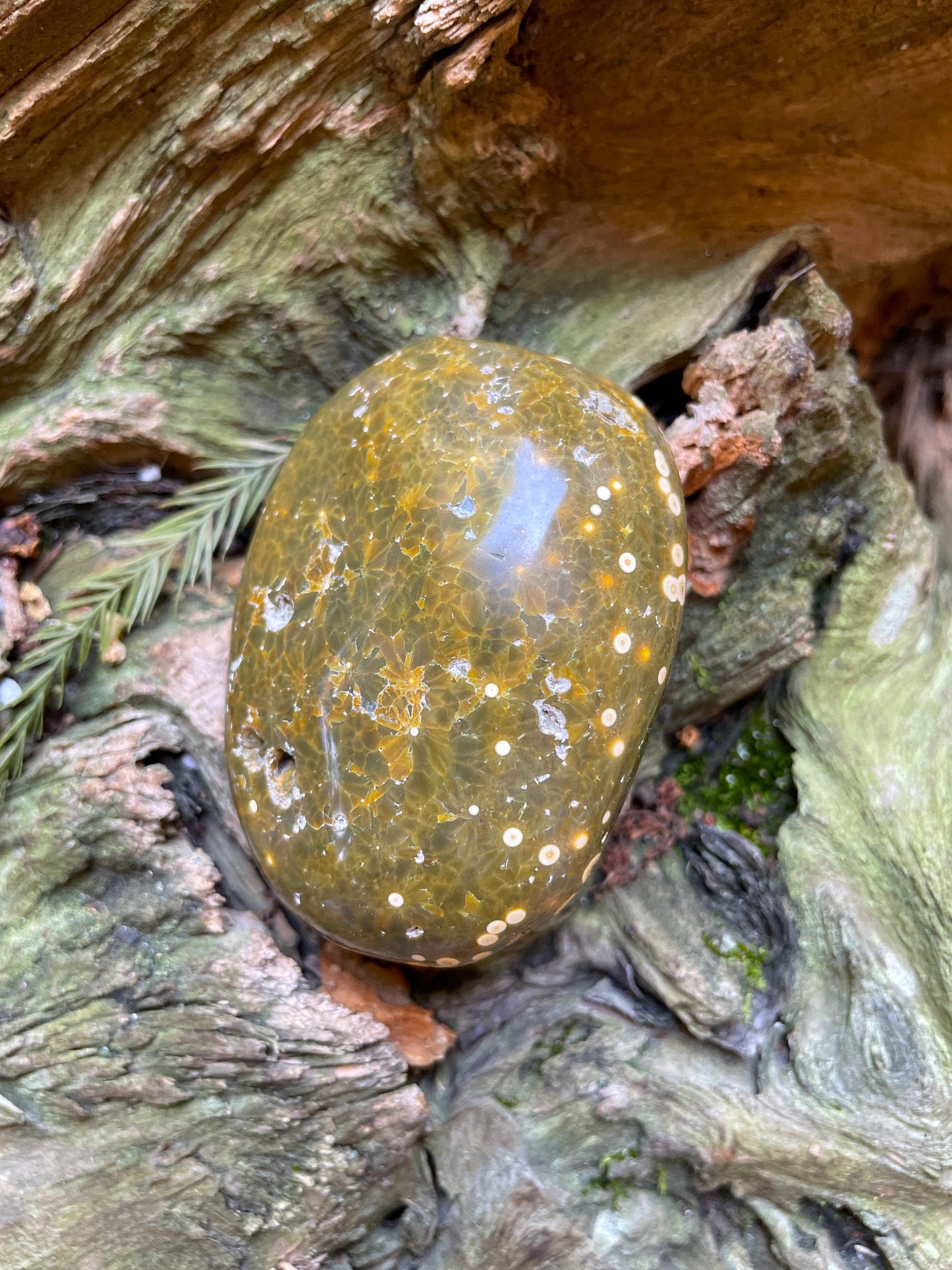 Beautiful Ocean Jasper Palm Stone 107.8g  From Madagascar Mineral Crystal