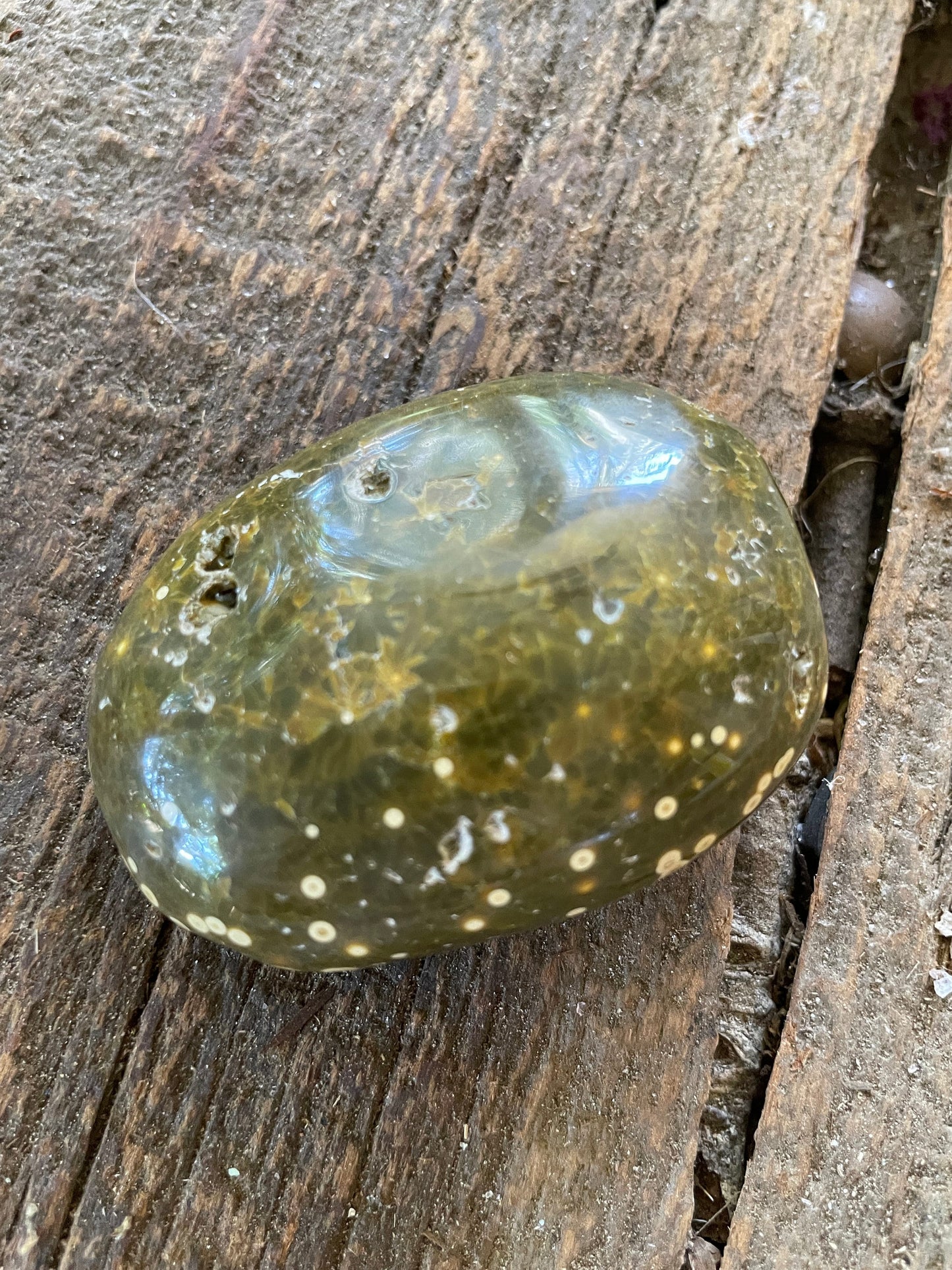 Beautiful Ocean Jasper Palm Stone 107.8g  From Madagascar Mineral Crystal