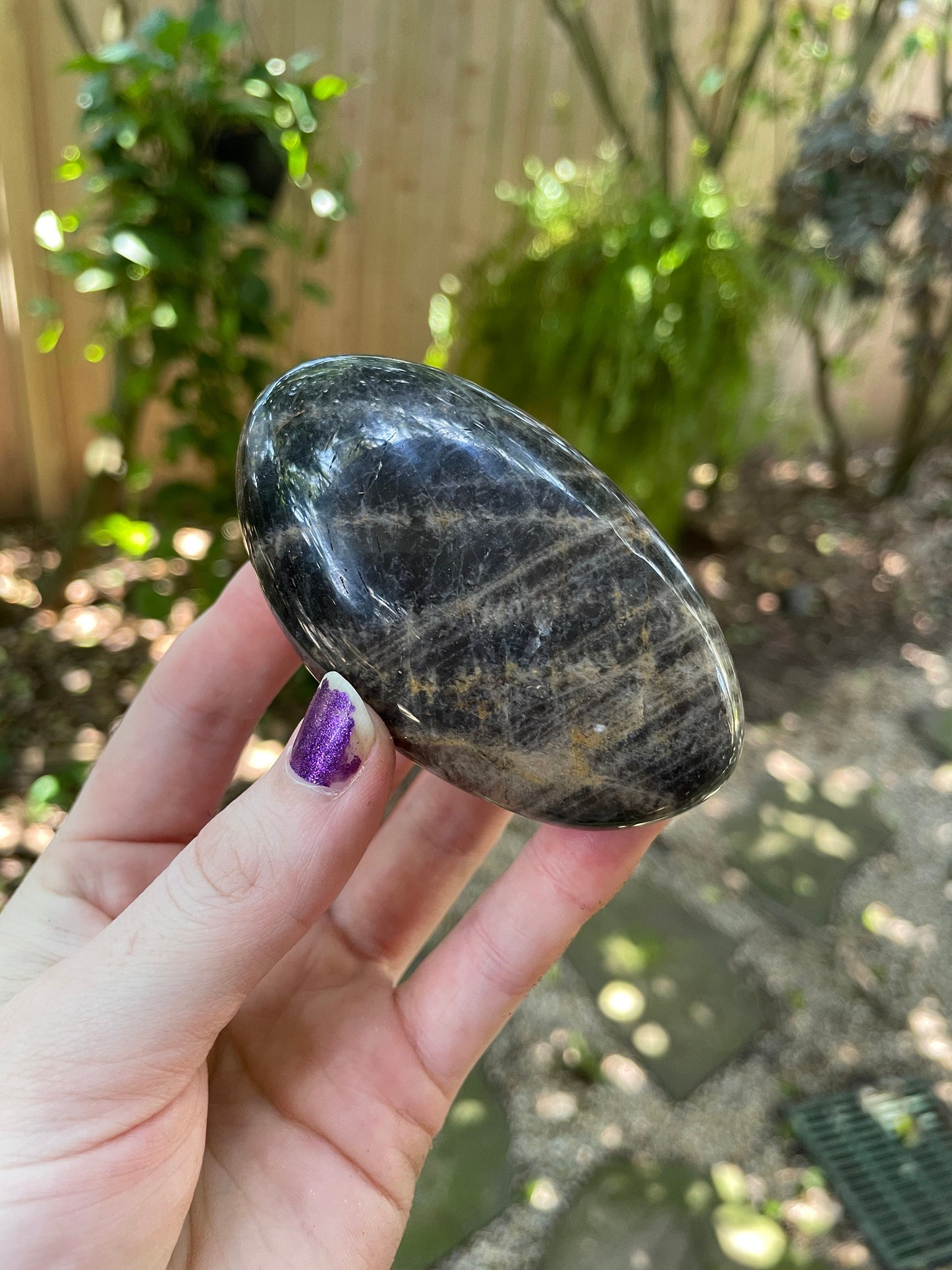 Black Moonstone Palm Stone Gallete 169.3g Specimen From Madagascar Mineral Crystal