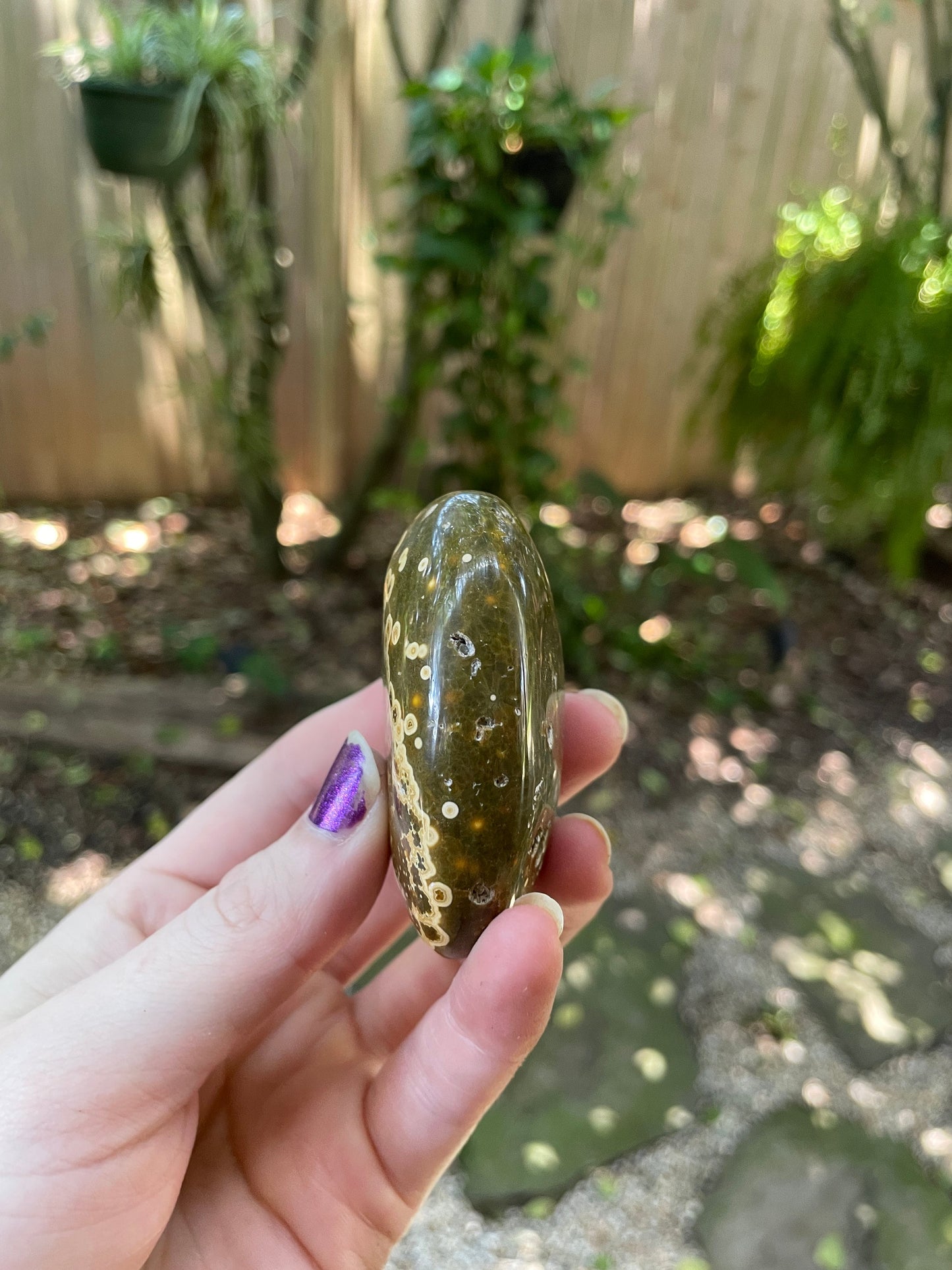 Beautiful Ocean Jasper Palm Stone 107.8g  From Madagascar Mineral Crystal