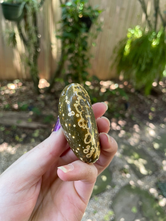 Beautiful Ocean Jasper Palm Stone 107.8g  From Madagascar Mineral Crystal