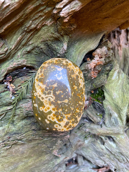 Beautiful Ocean Jasper Palm Stone 107.8g  From Madagascar Mineral Crystal