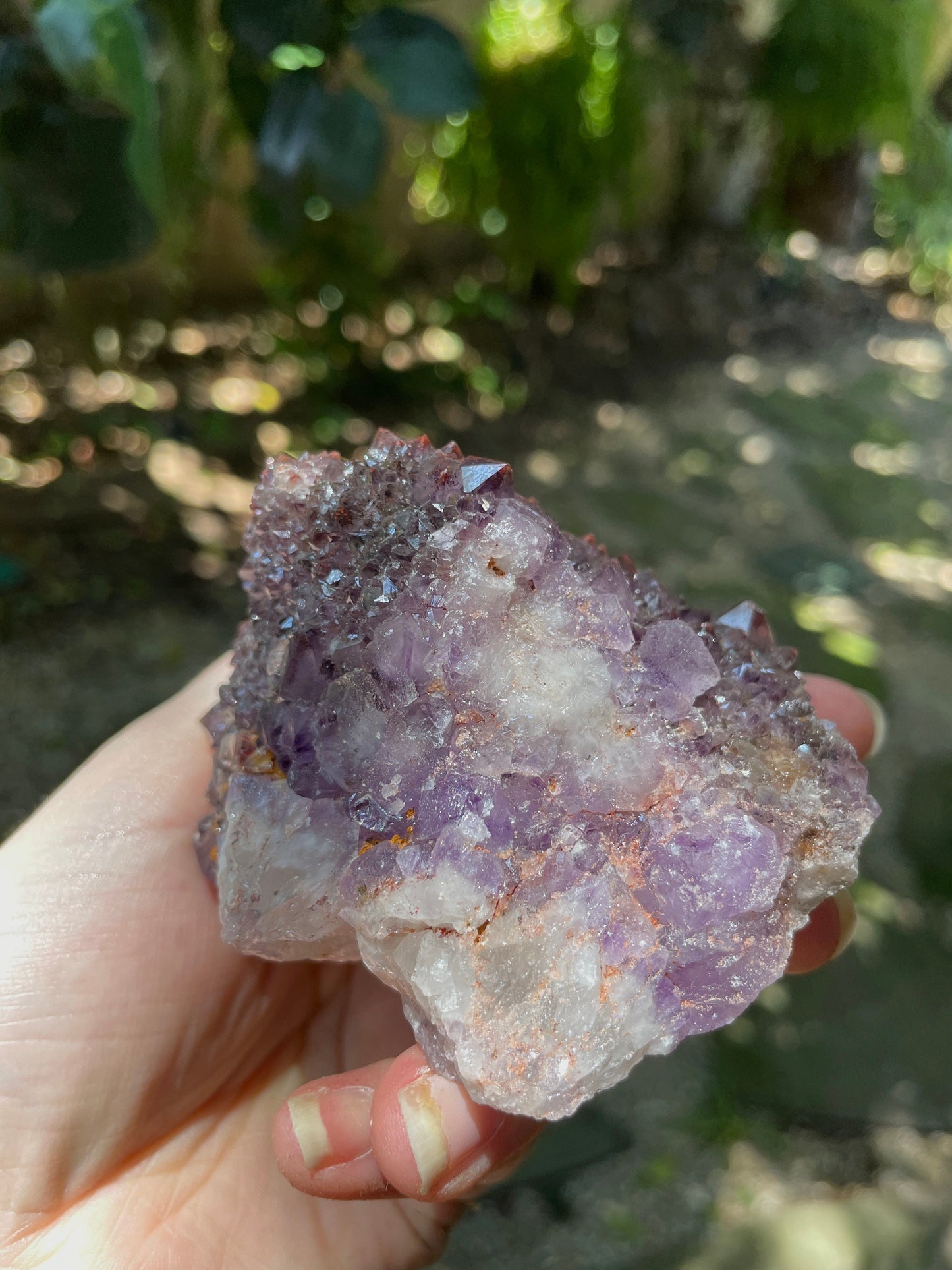 Thunder Bay Amethyst Ontario Canada 277.2g Specimen Amethyst with Hematite Mineral Crystal