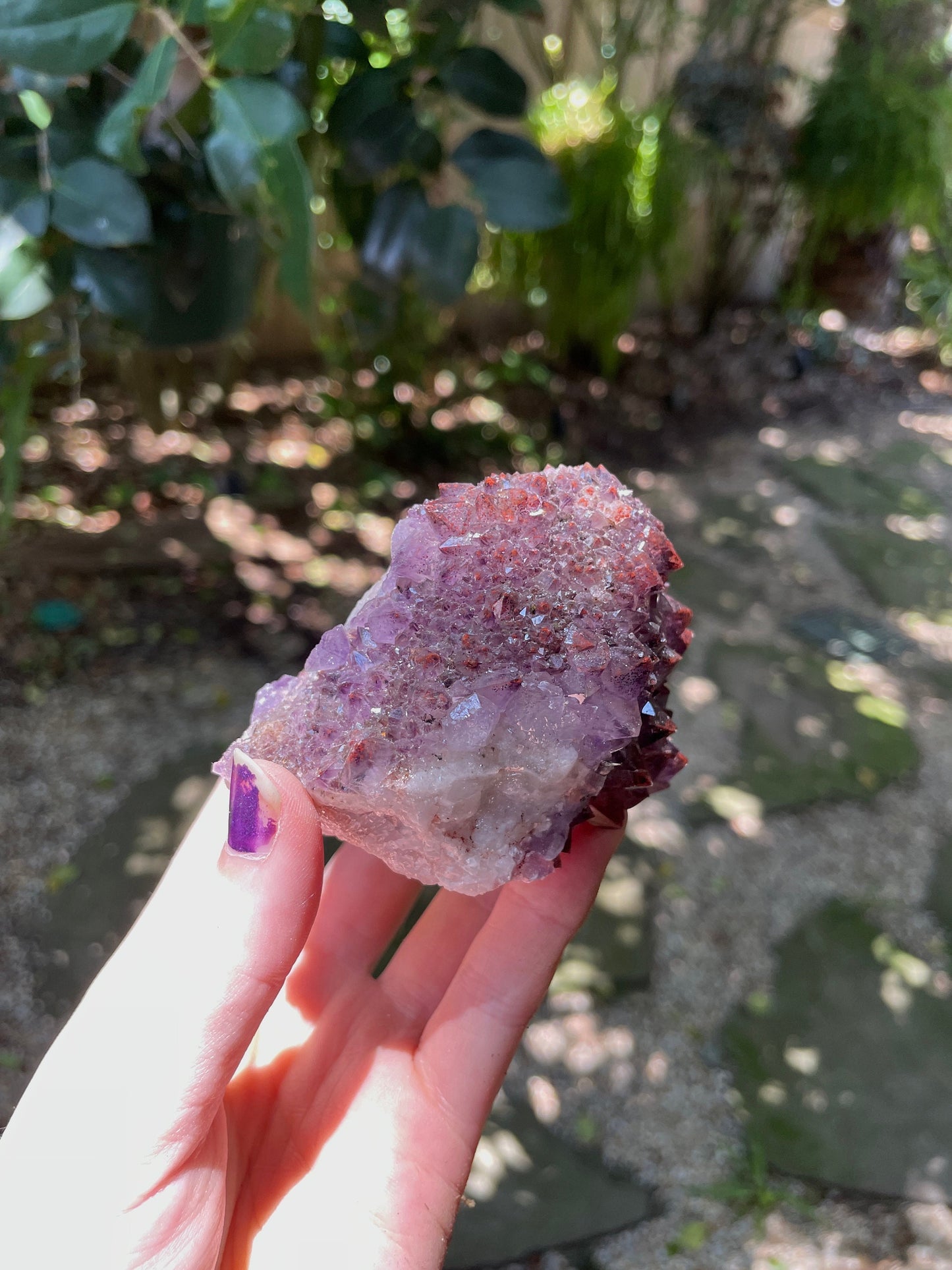 Thunder Bay Amethyst Ontario Canada 277.2g Specimen Amethyst with Hematite Mineral Crystal